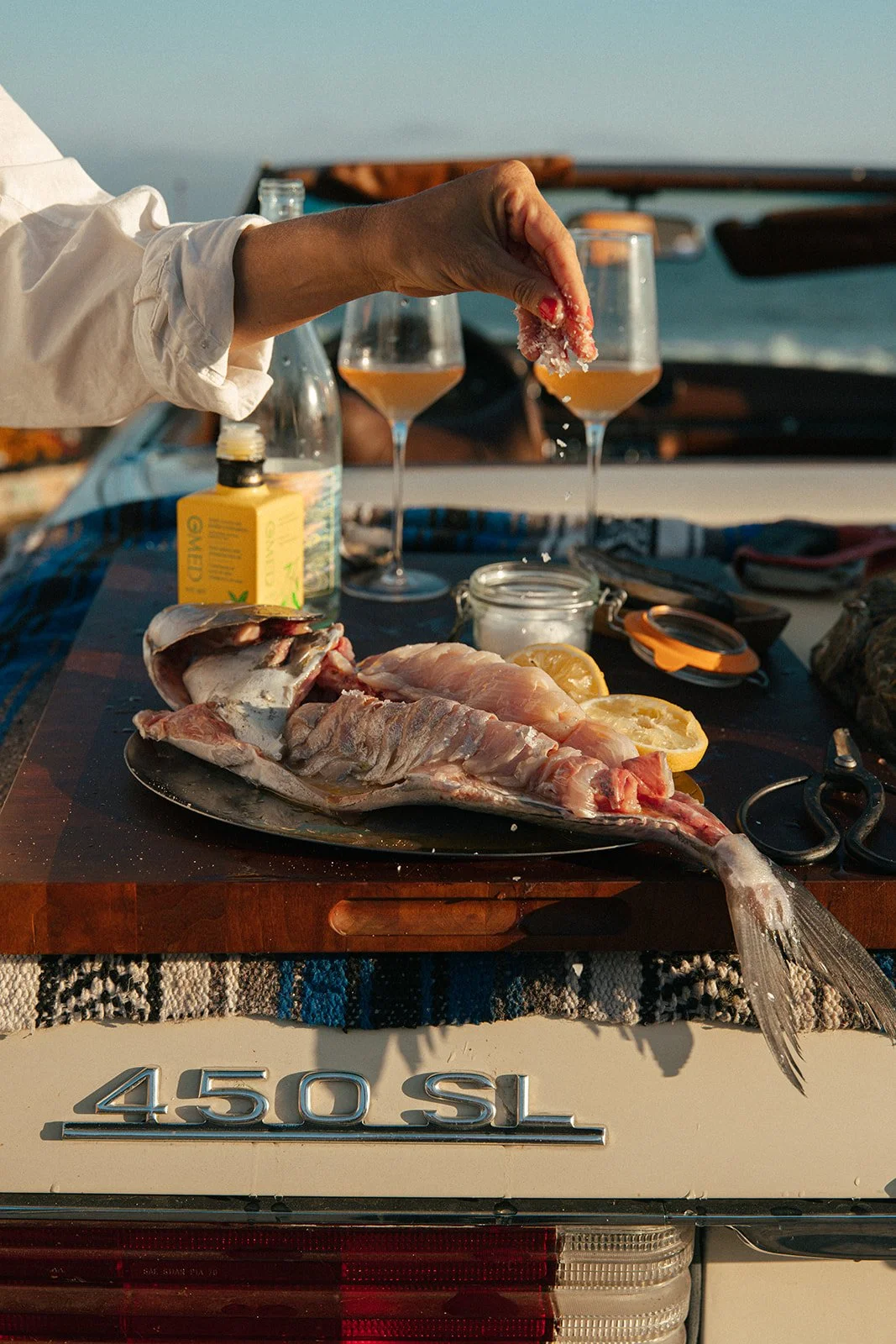 Crudo_Beach_Catherine_Dzilenski__cathdiz-1216.jpg