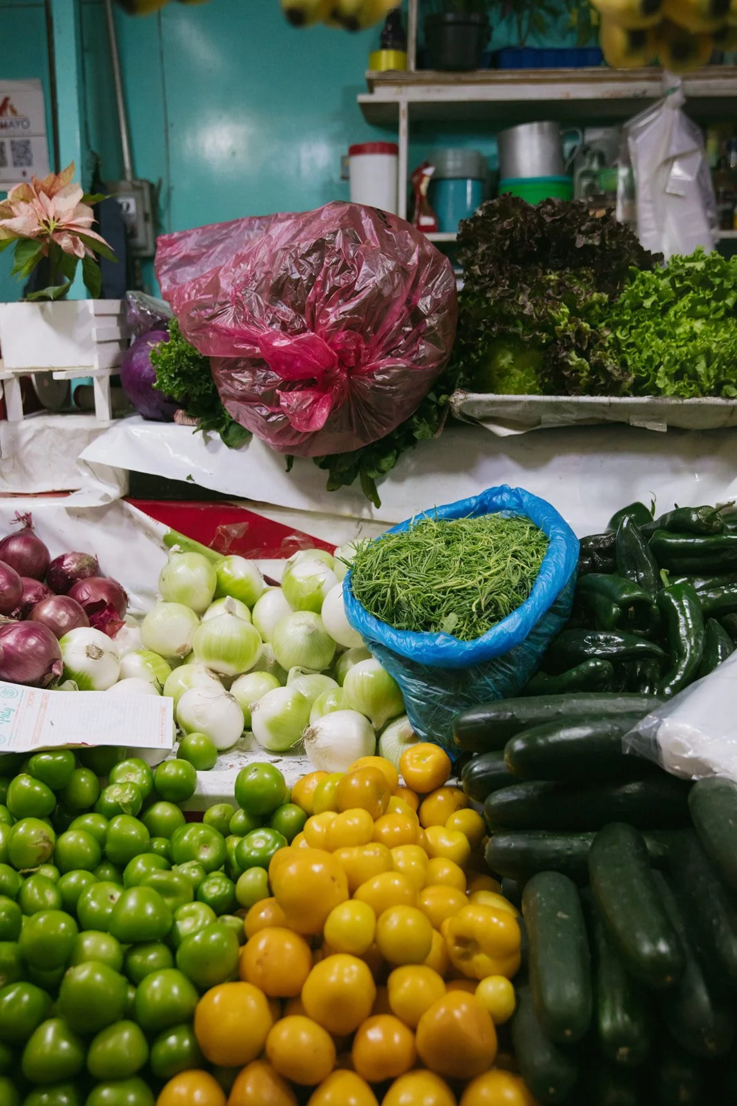 CDMX Biite_Catherine Dzilenski__cathdiz-9514.jpg