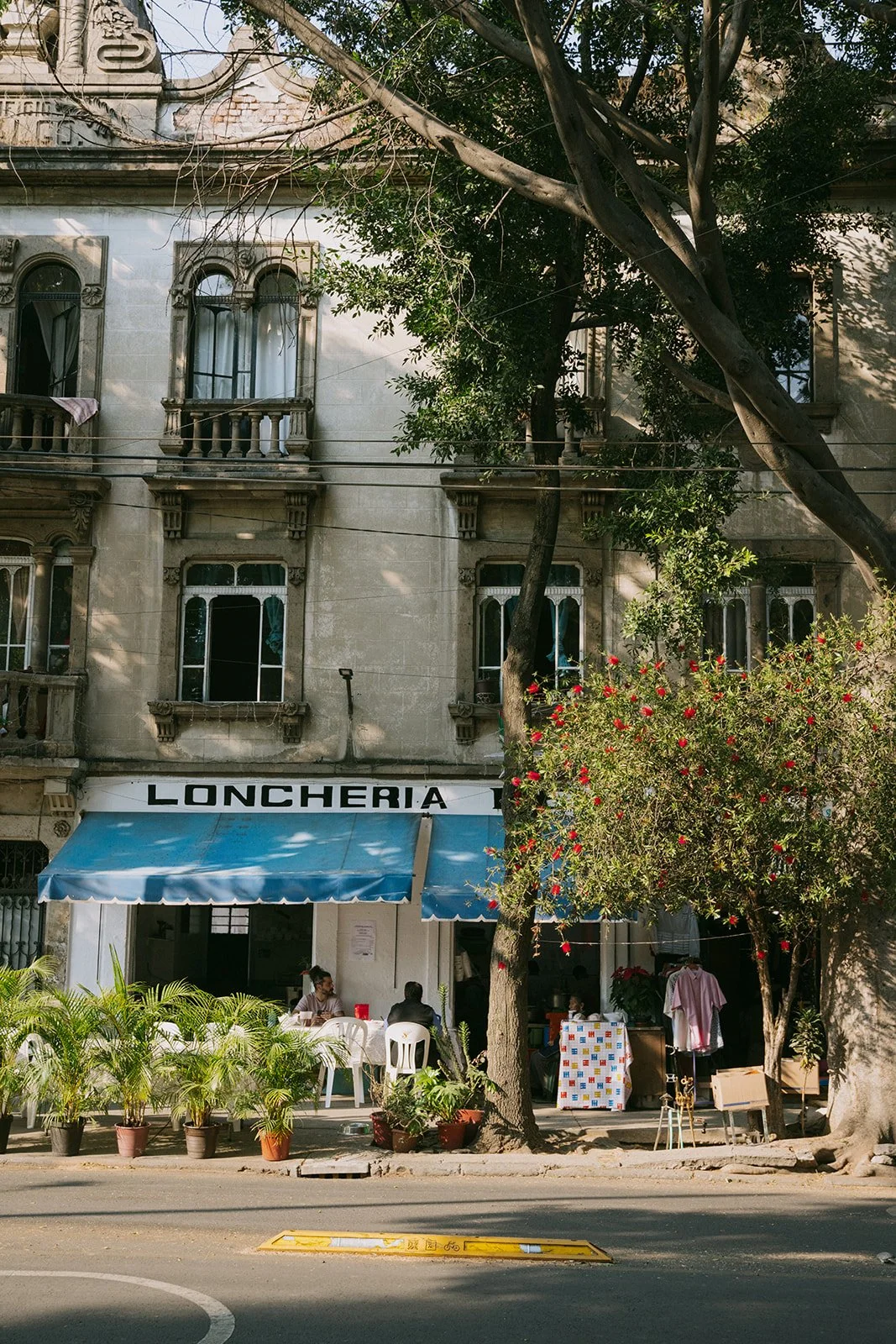 CDMX Biite_Catherine Dzilenski__cathdiz-0959.jpg