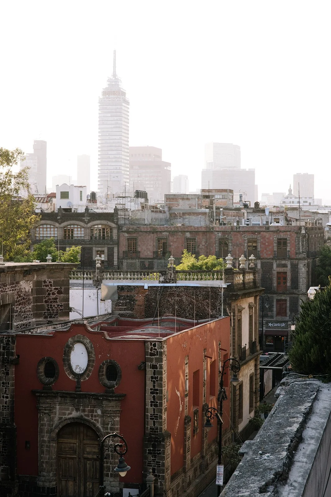 CDMX Biite_Catherine Dzilenski__cathdiz-2589.jpg