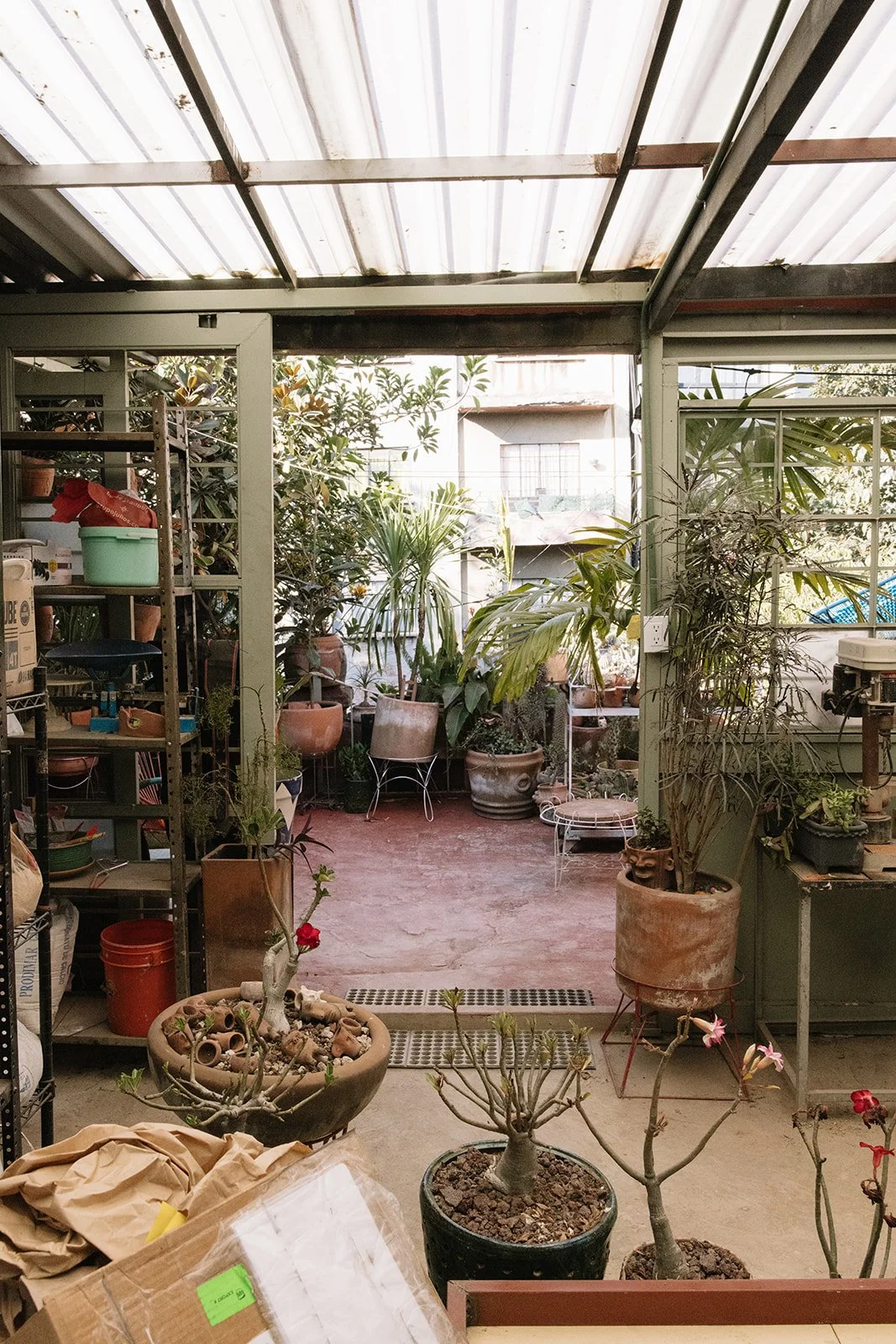 CDMX Biite_Catherine Dzilenski__cathdiz-1533.jpg