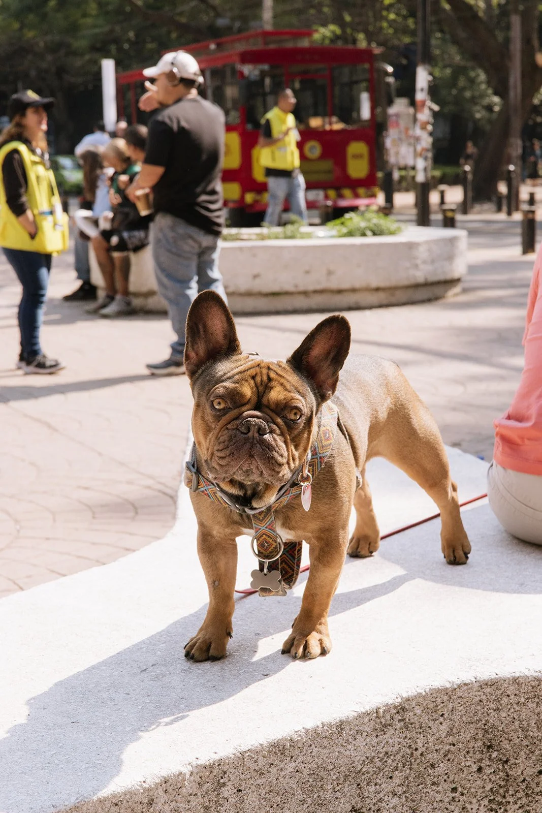 CDMX Biite_Catherine Dzilenski__cathdiz-1311.jpg