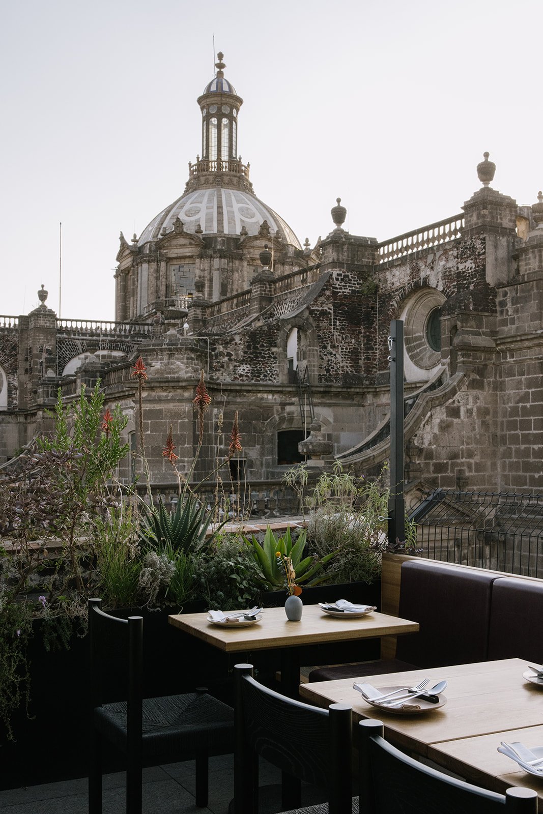 CDMX Biite_Catherine Dzilenski__cathdiz-2586.jpg