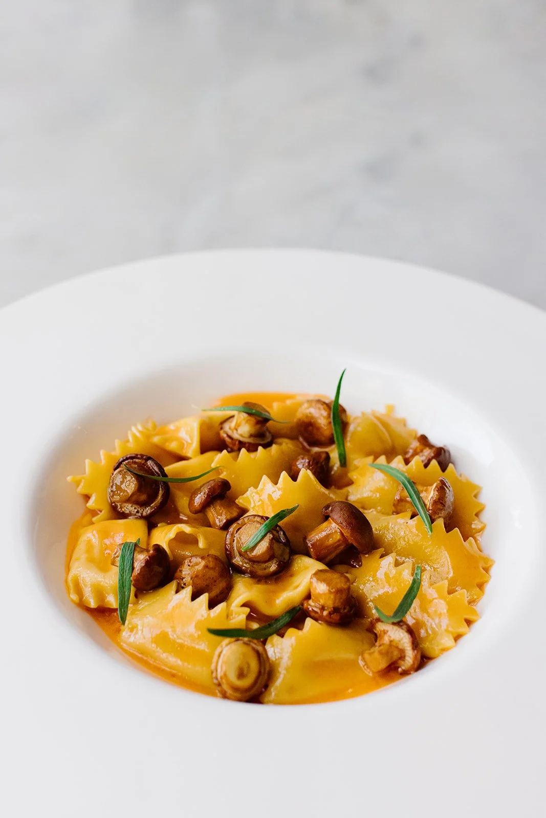 3/3 - revisiting a recent cremini dish (confirm complete caption with Walter! Emphasize that  we have an ARUGULA RIGATONI ft. chanterelle, matsutake, and porcini mushrooms on our DINNER MENU now)
