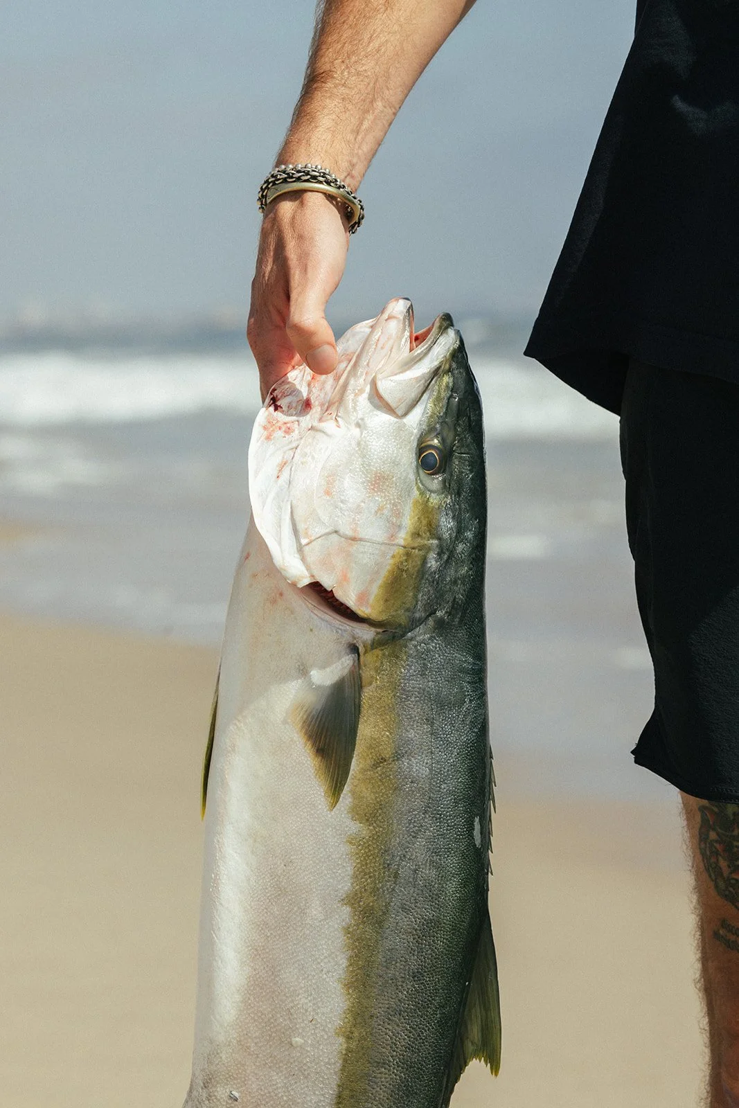 Crudo_Beach_Catherine_Dzilenski__cathdiz-0740.jpg