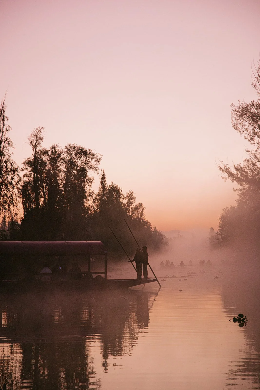 CDMX Biite_Catherine Dzilenski__cathdiz-2085.jpg