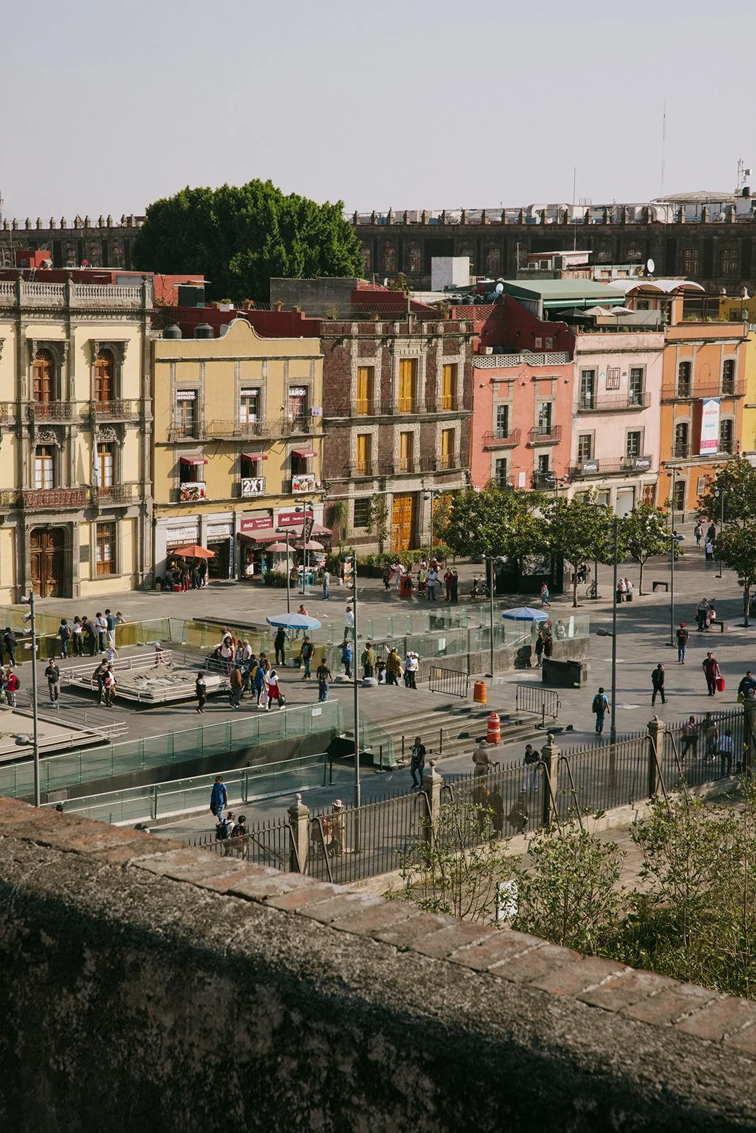 CDMX Biite_Catherine Dzilenski__cathdiz-2460.jpg