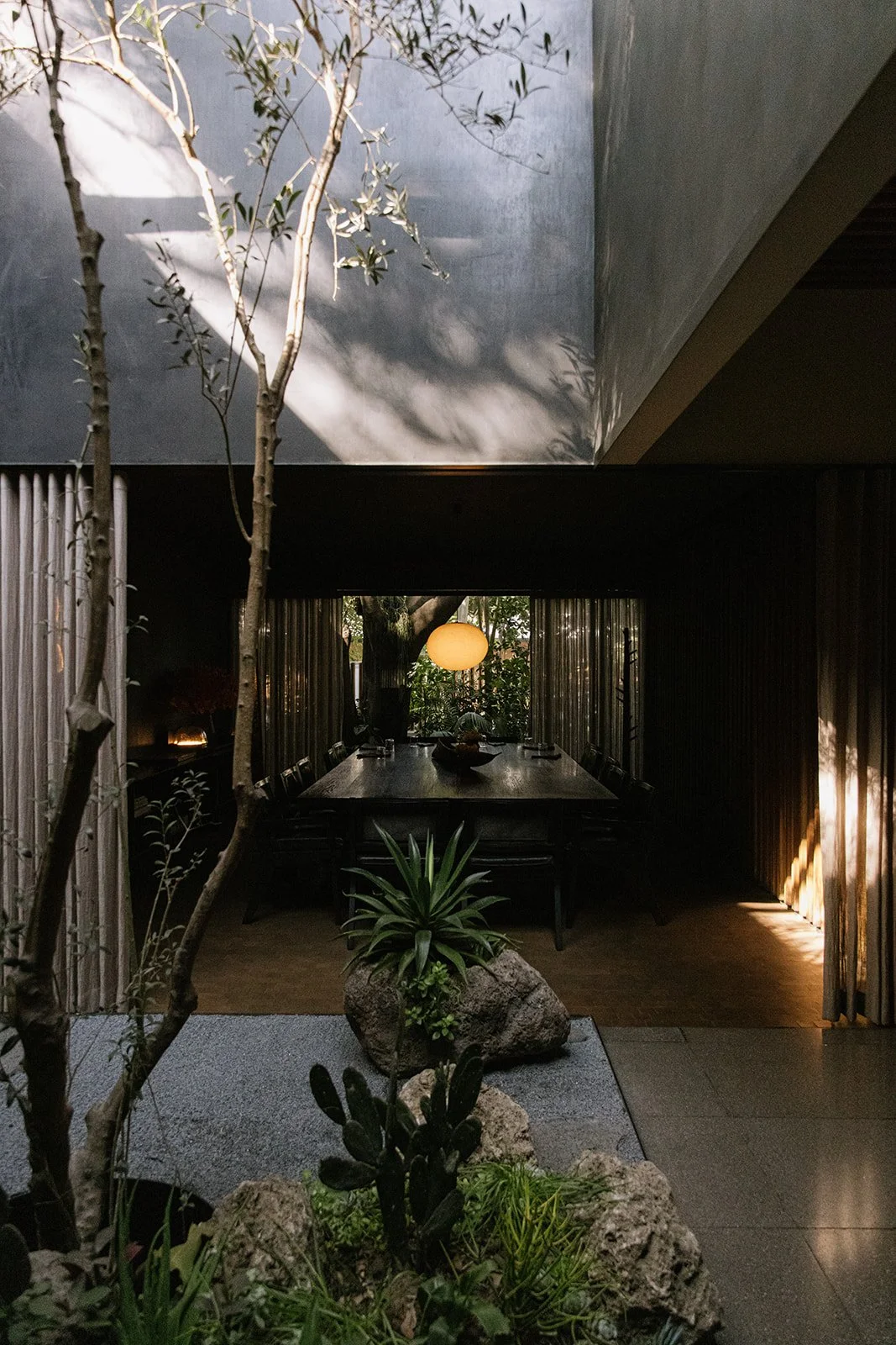 CDMX Biite_Catherine Dzilenski__cathdiz-3136.jpg