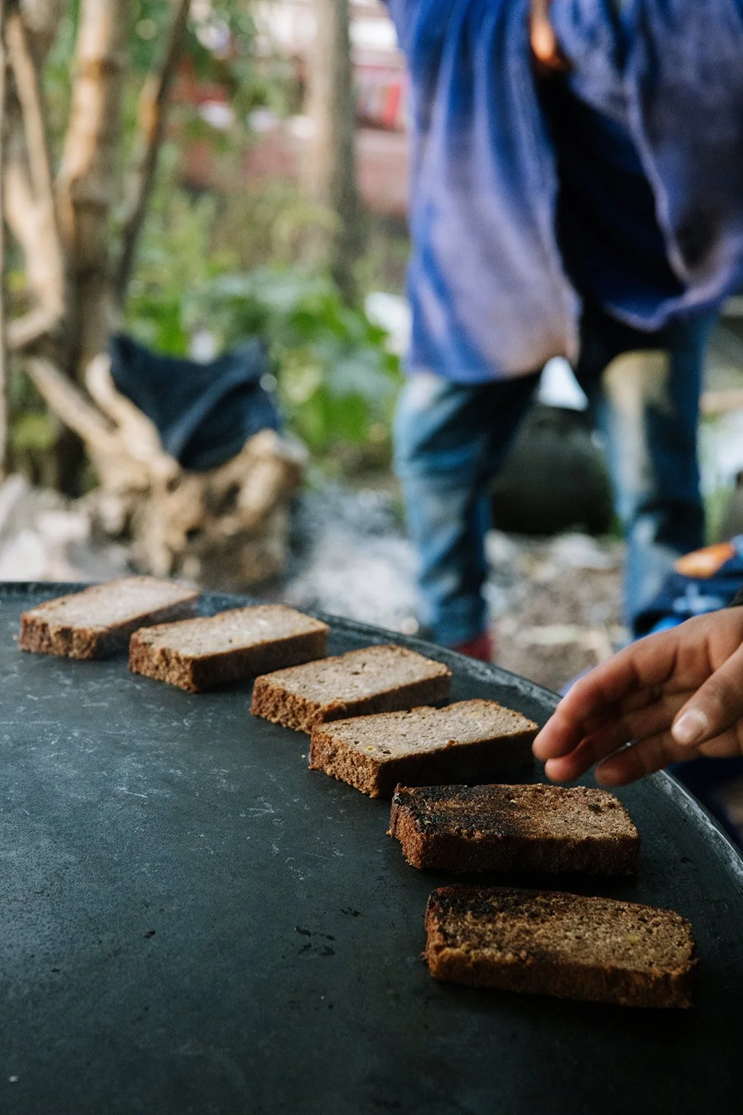 CDMX Biite_Catherine Dzilenski__cathdiz-2280.jpg