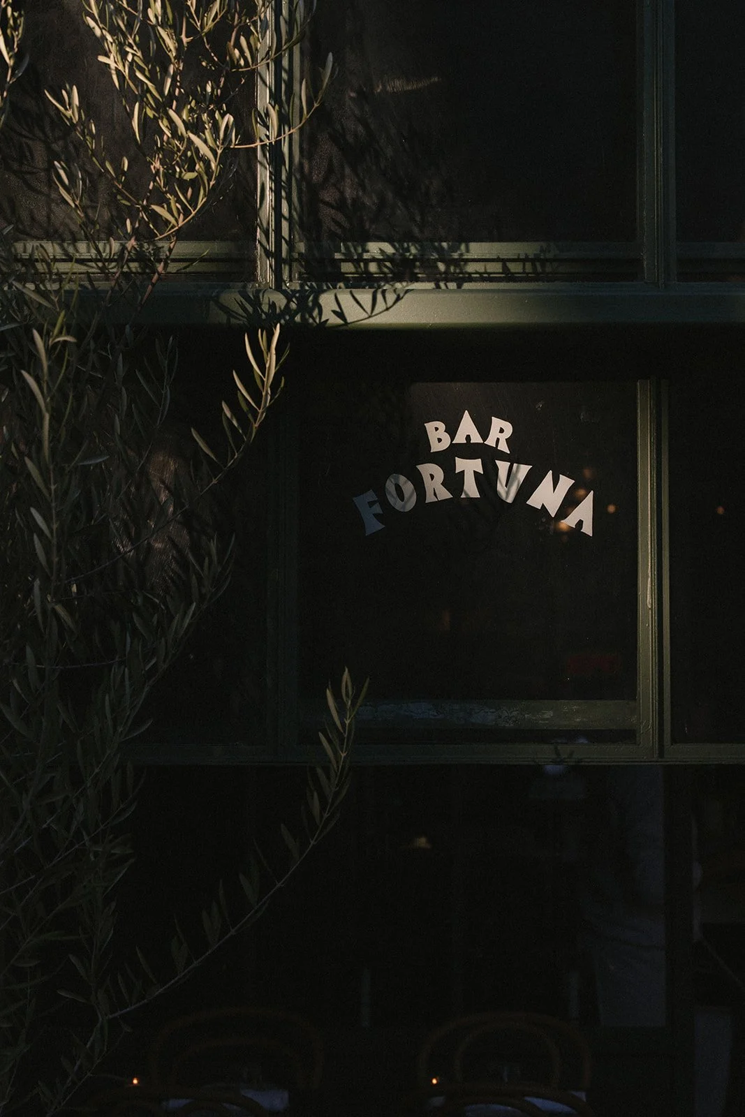 Bar Fortuna_Catherine Dzilenski__cathdiz-2450.jpg