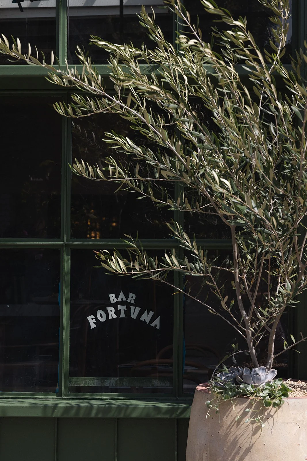BarFortuna_exterior_Catherine Dzilenski__cathdiz-0350.jpg
