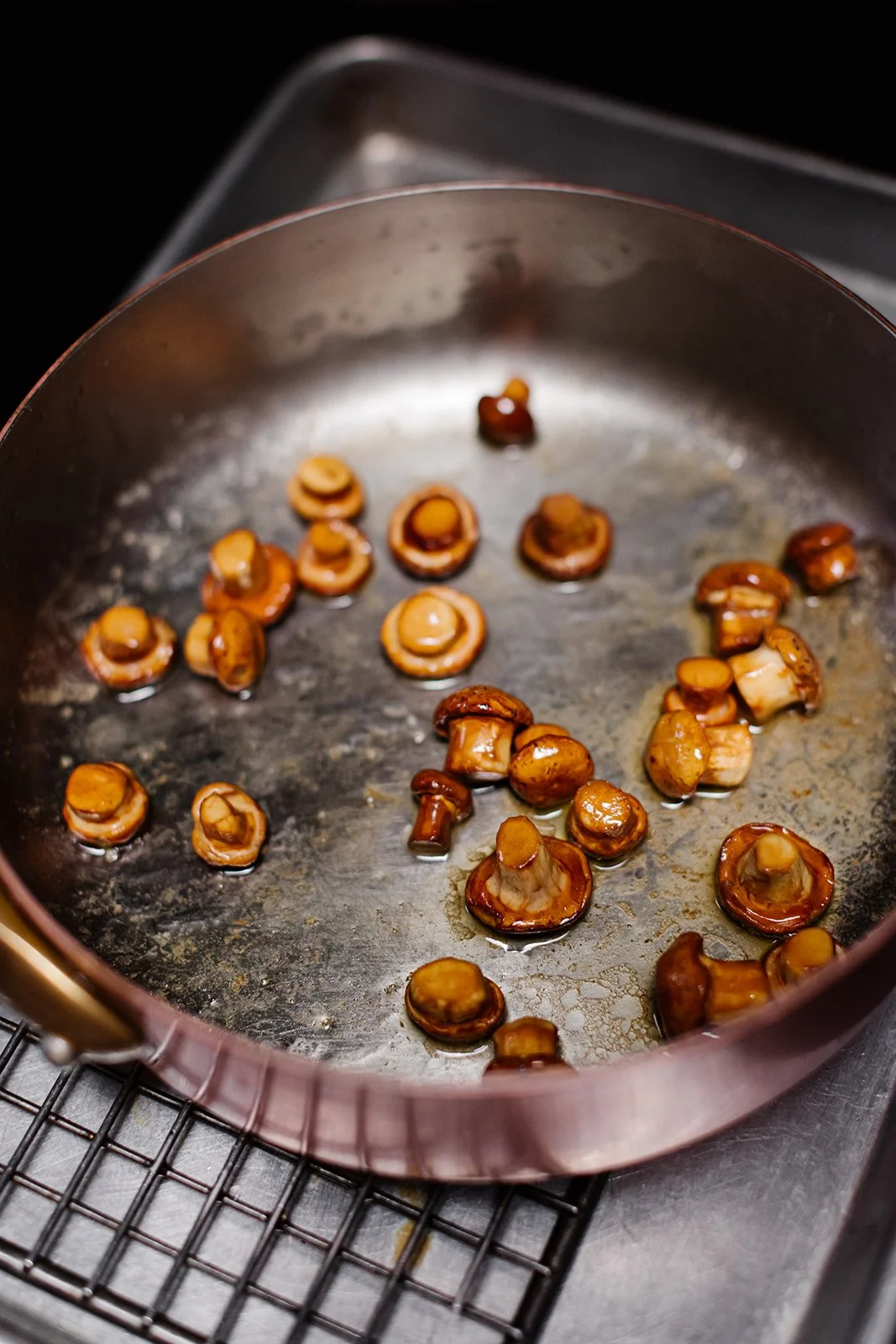 2/3 - revisiting a recent cremini dish (confirm complete caption with Walter! Emphasize that  we have an ARUGULA RIGATONI ft. chanterelle, matsutake, and porcini mushrooms on our DINNER MENU now)