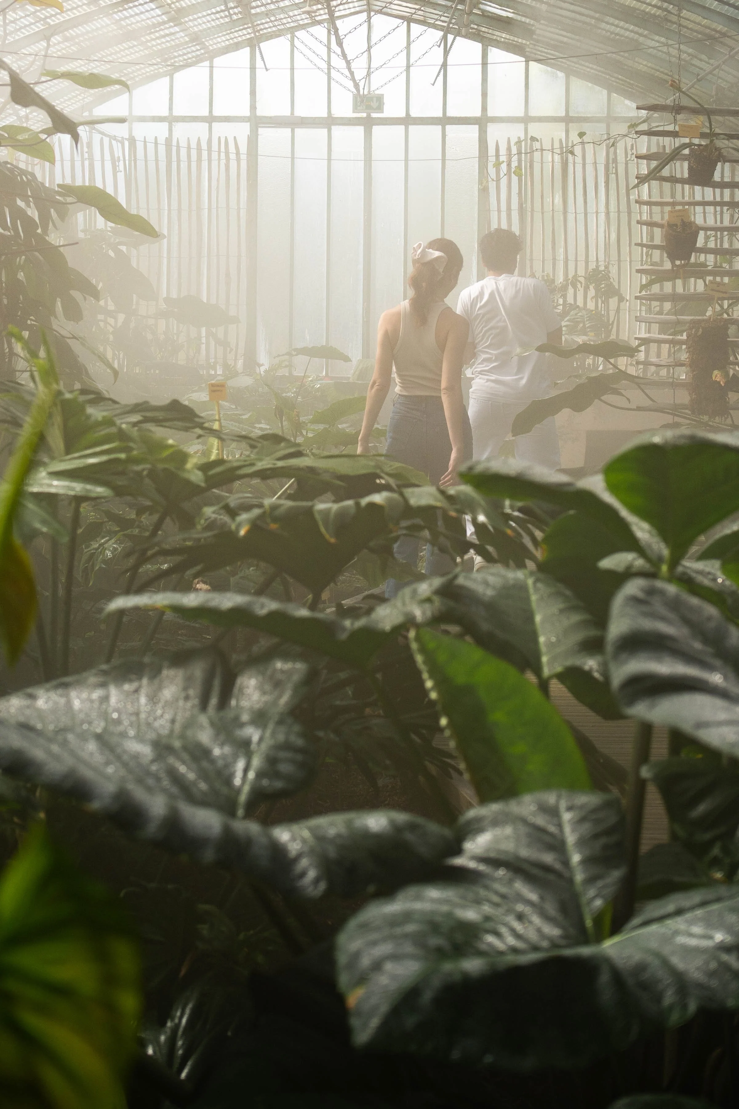 Deux personnes, un homme et une femme, dans une serre avec beaucoup de plantes vertes, regardant vers l'avant, ambiance brumeuse ou éclairage diffuse.