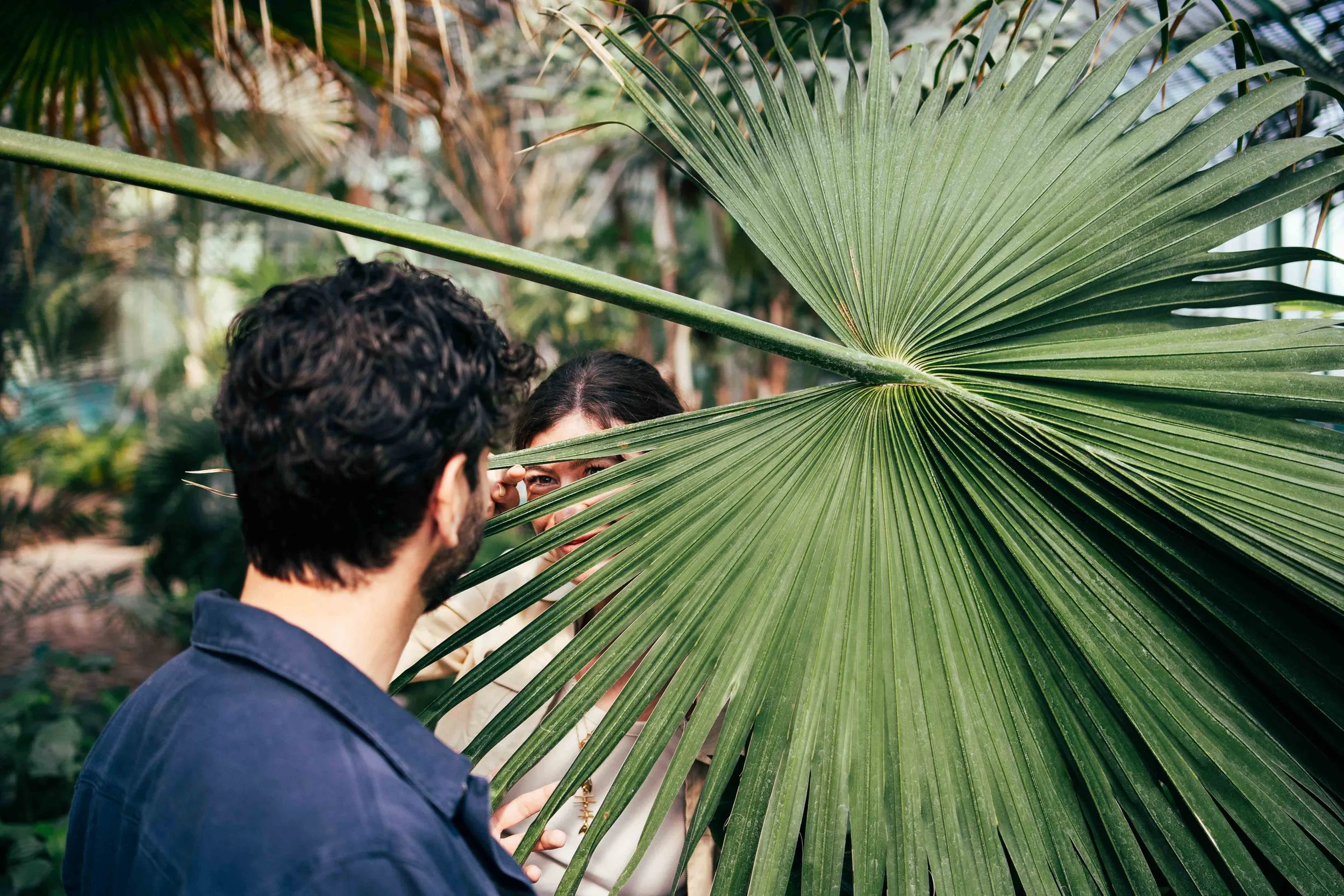 Deux personnes, un homme et une femme, se tiennent derrière une grande feuille de palmier dans une serre ou un jardin tropical, discutant ou observant quelque chose.