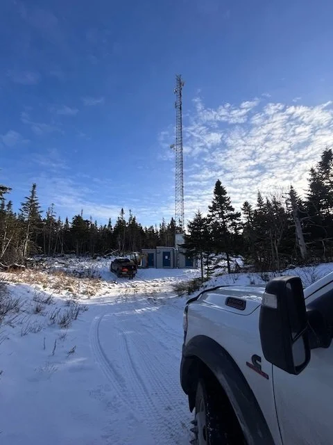 Another safe day in the woods