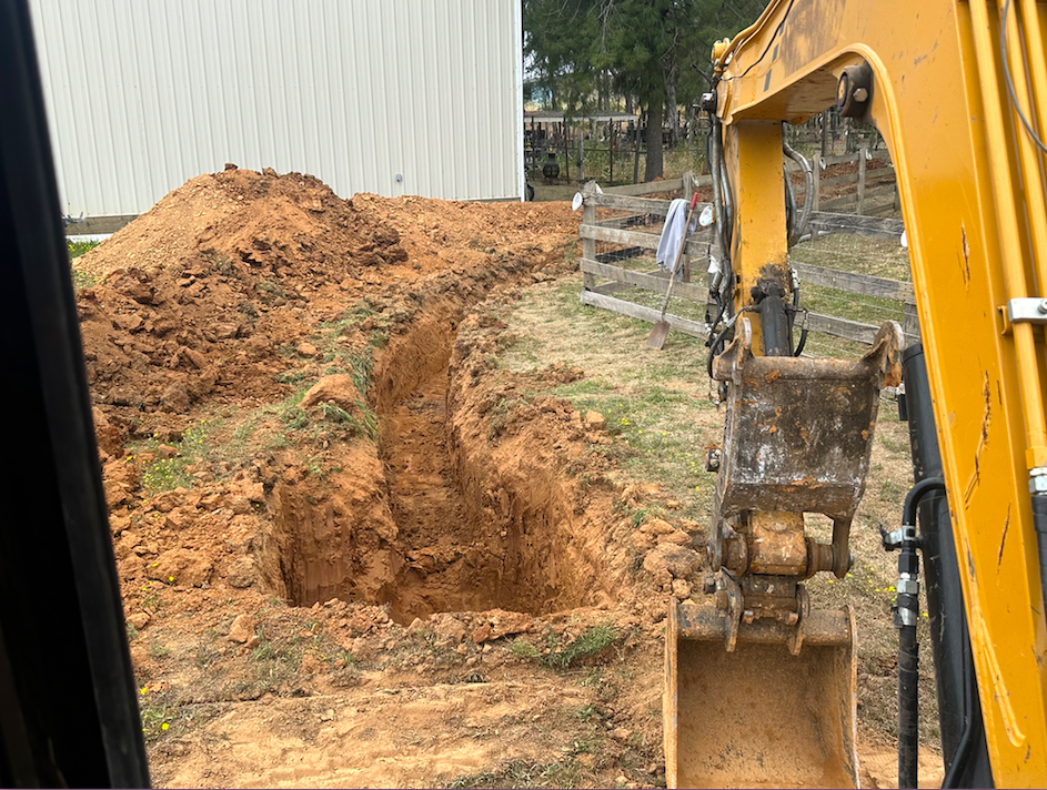 Screen Shot 2024-11-25 at 4.46.45 AM.png