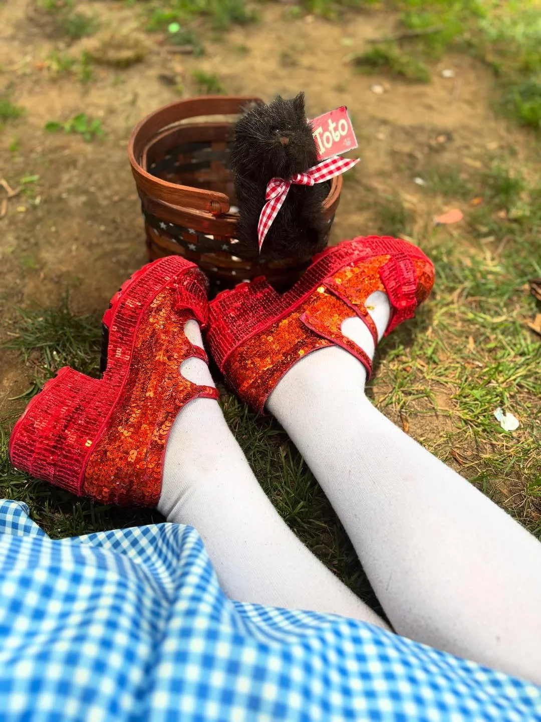 Ruby slippers - shoe customization