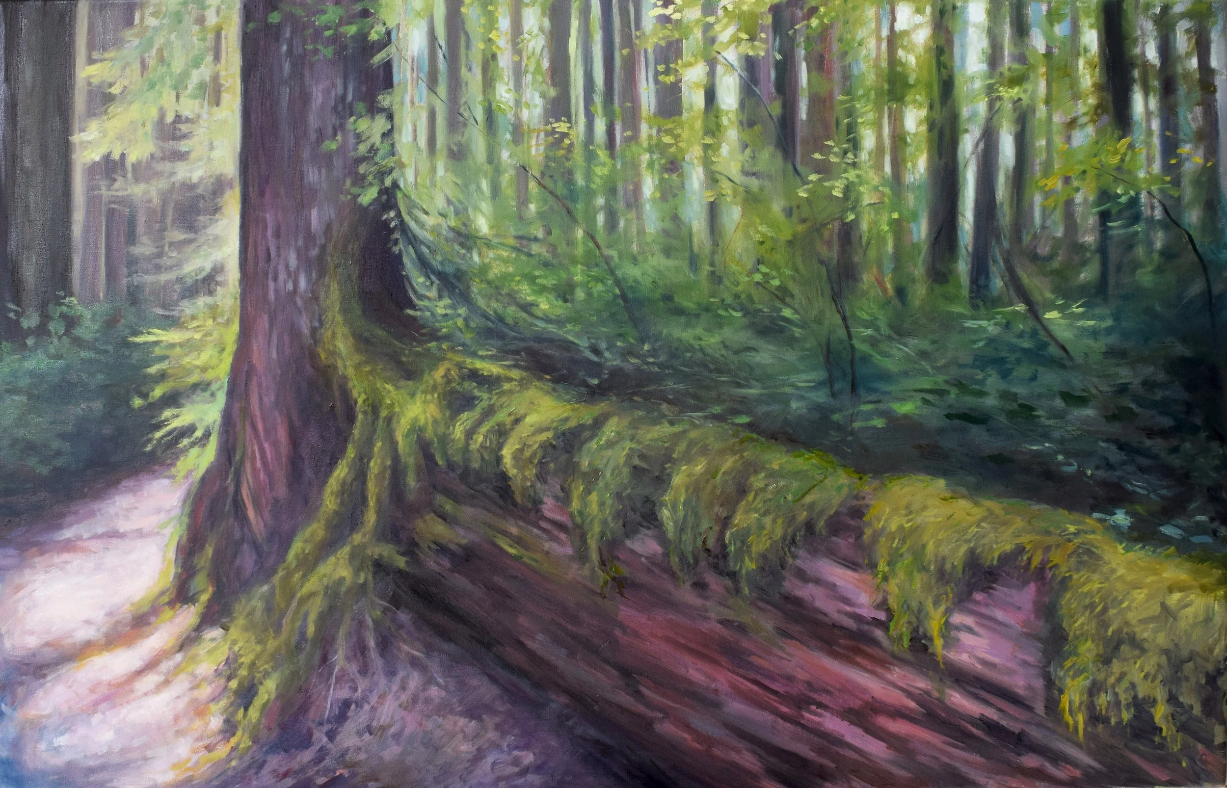Mary_Skomerza_Snoqualmie_Forest.jpg