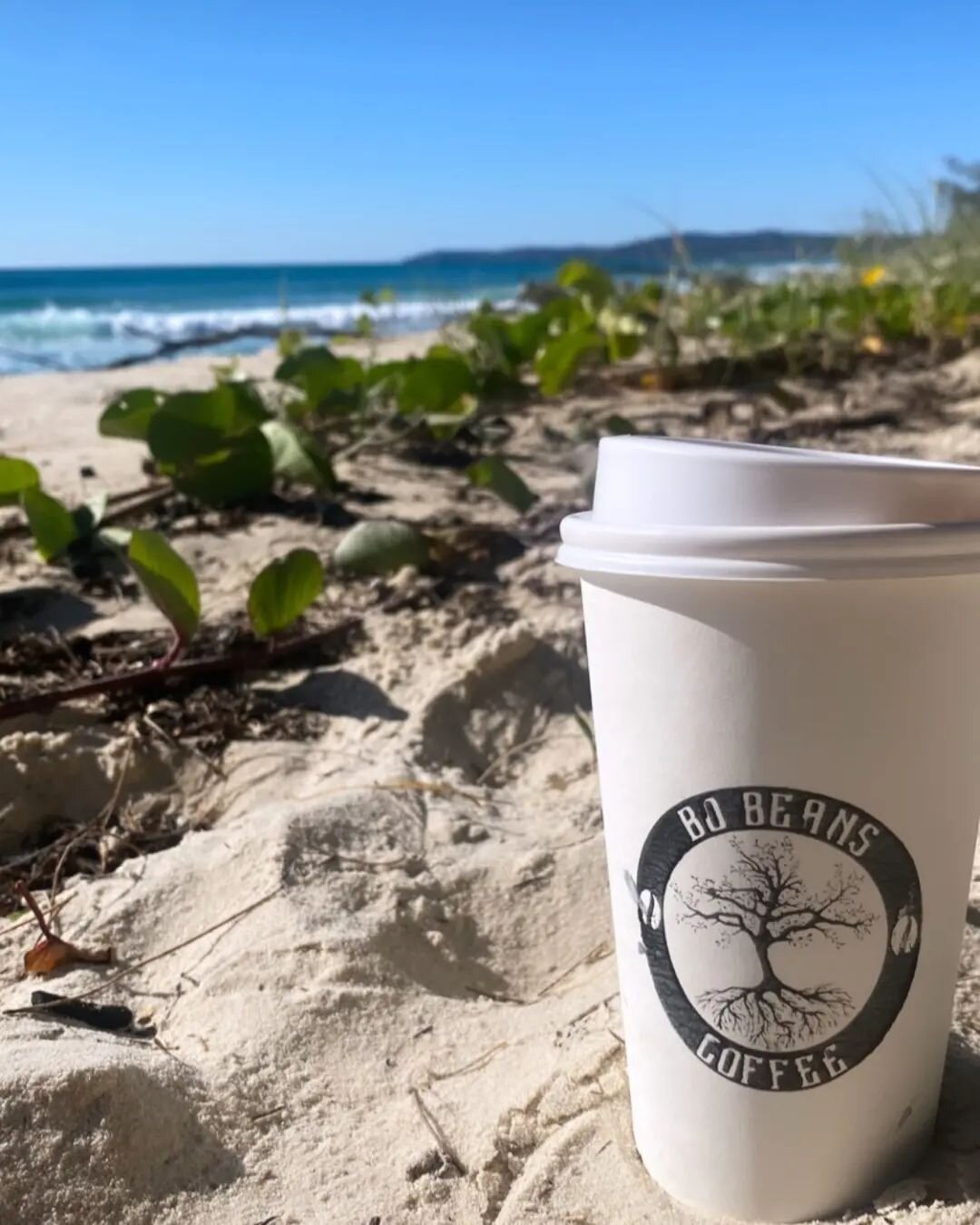 ☕ Grab a brew and find a view 😉

🏝️ We may not be on the water front, but there's nothing stopping you from grabbing that morning coffee and walking 5mins out to the beach ⛱️

🚘 Maybe it's a drive back to the jetty or down to Flinders beach ⛱️

Wh
