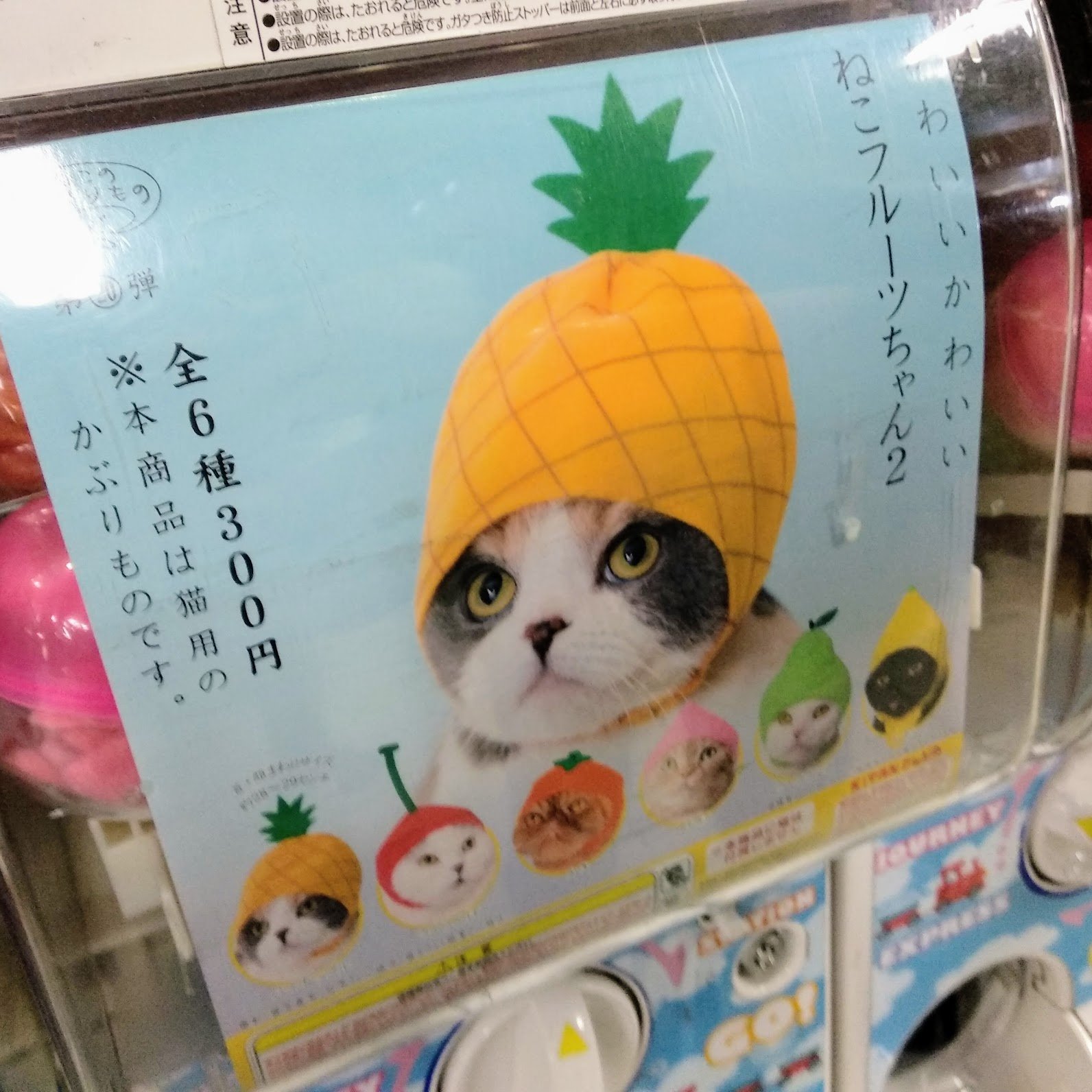 Bonus 01: “Pineapples”