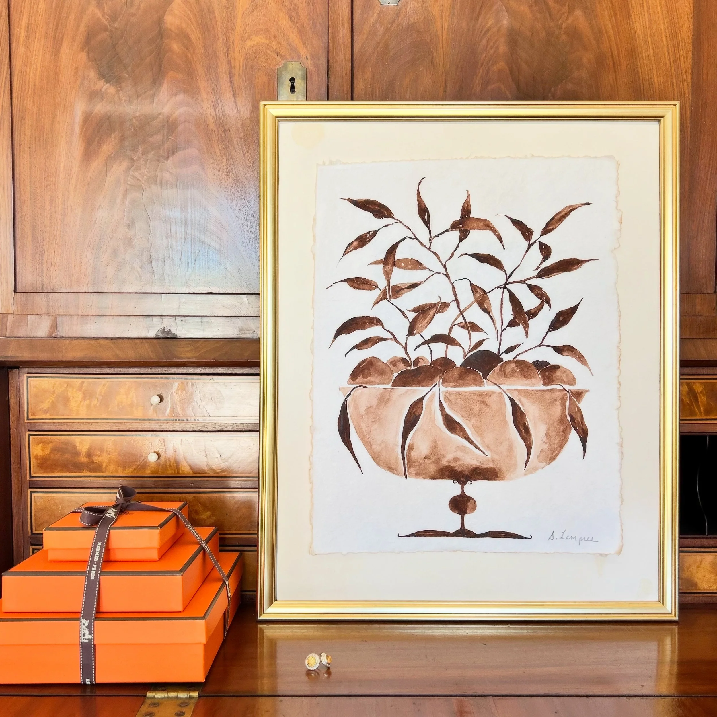 Cocoa Botanical No. 28