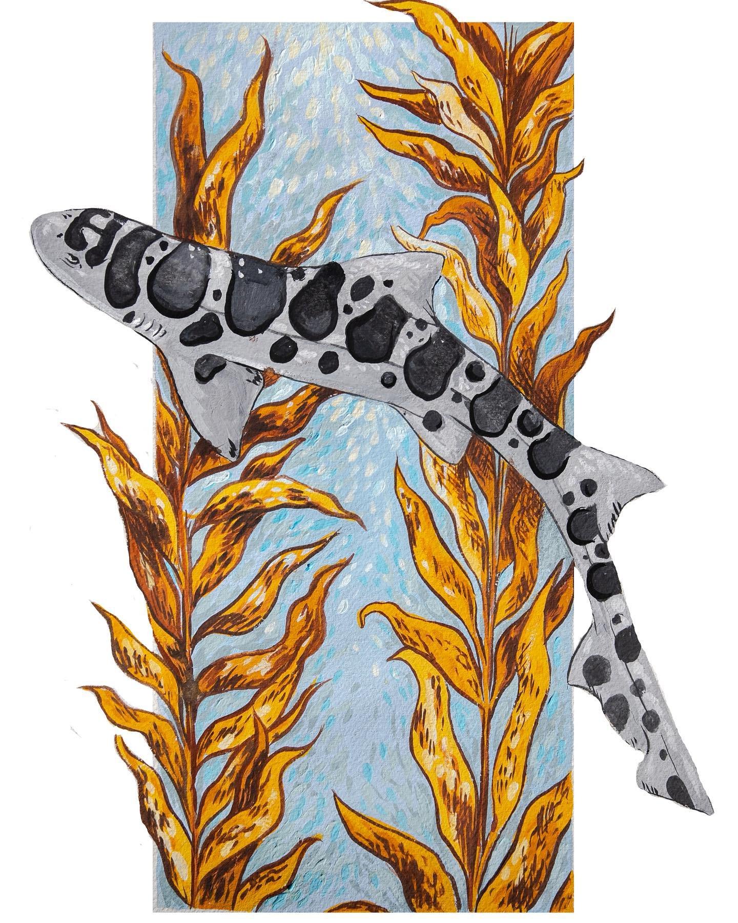 leopardshark.jpeg