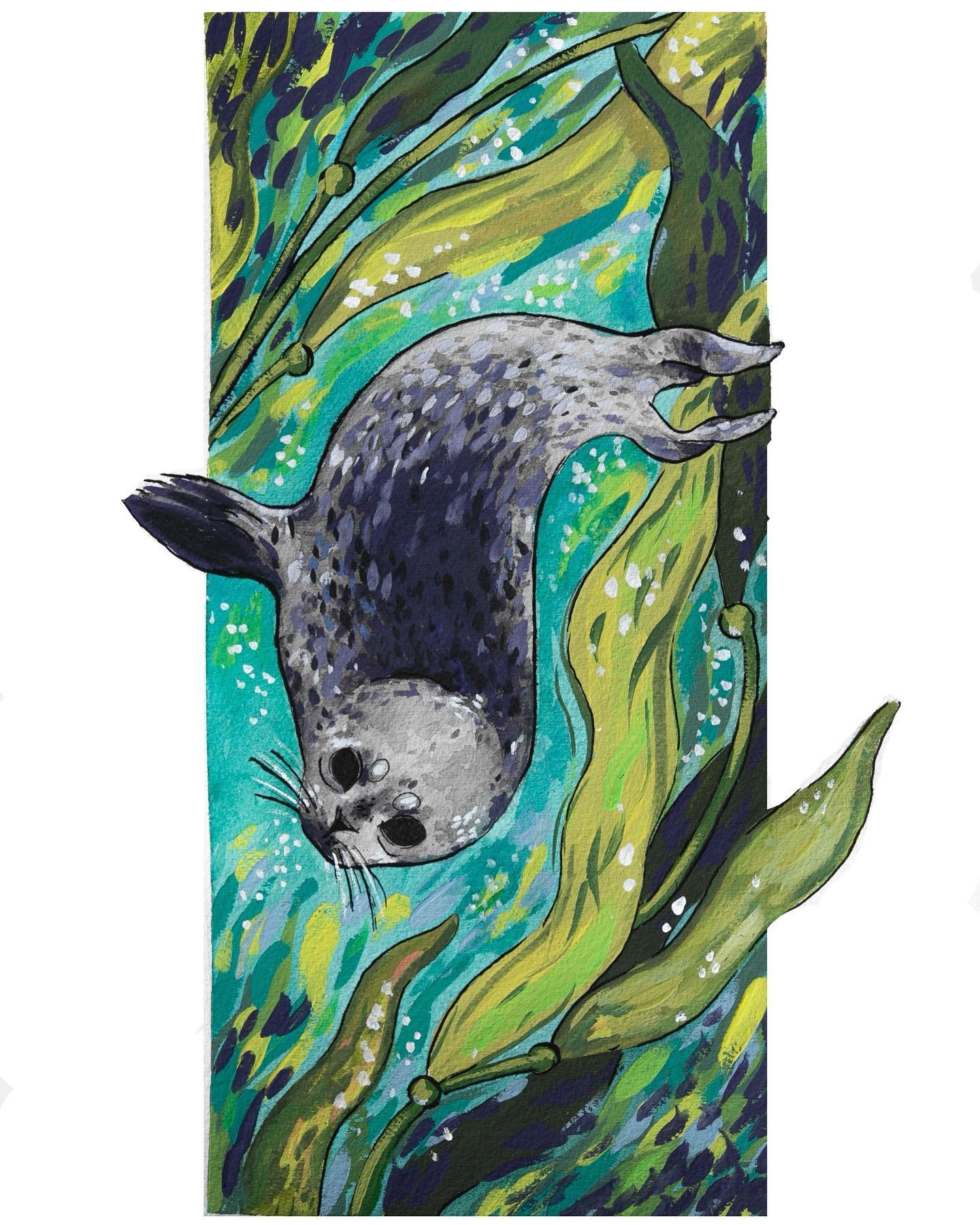 harborseal.jpeg
