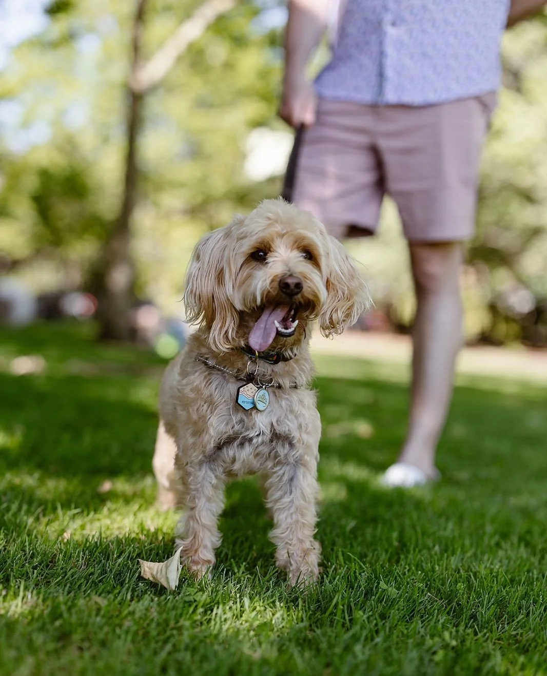If you&rsquo;re like my wife and I, we couldn&rsquo;t have gotten married without our two rescue dogs. Here is what I learned and some of my recommendations for including your dog in your wedding ceremony:⁠
⁠
1. Prepare your dog - Familiarize them wi