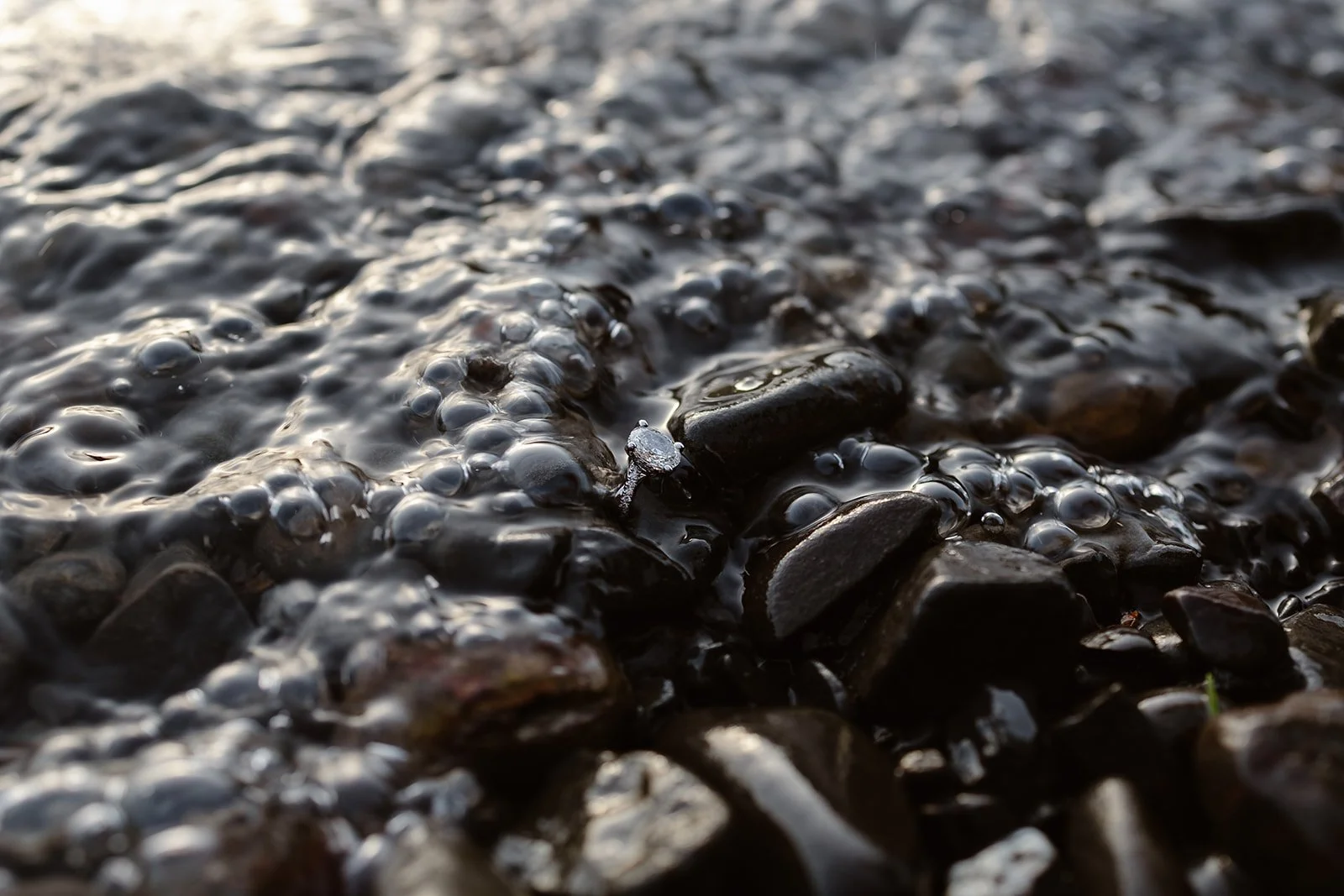 photo of ring in the water at lake crescent