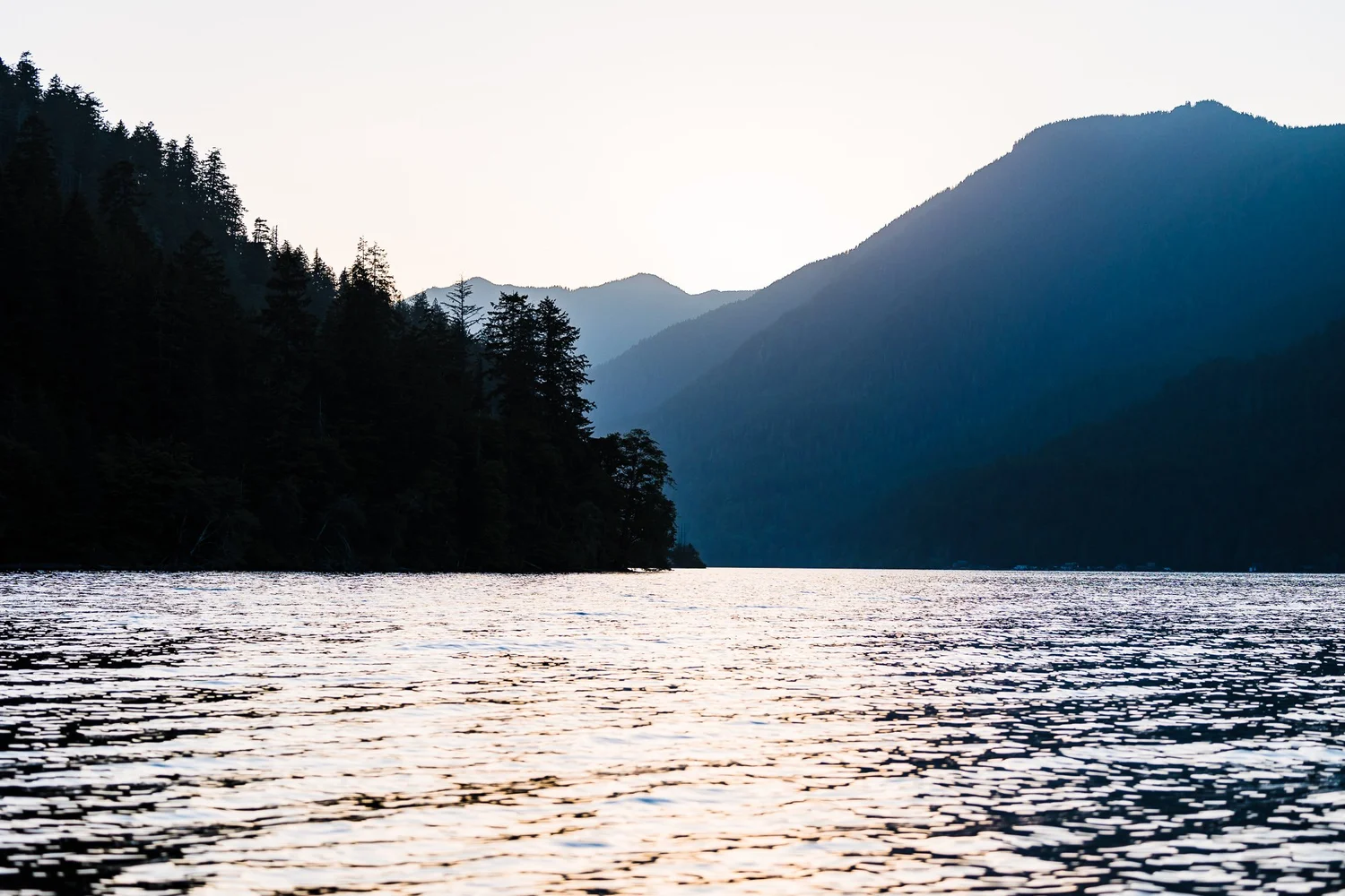 The Best Olympic National Park Wedding Venues - Your Guide