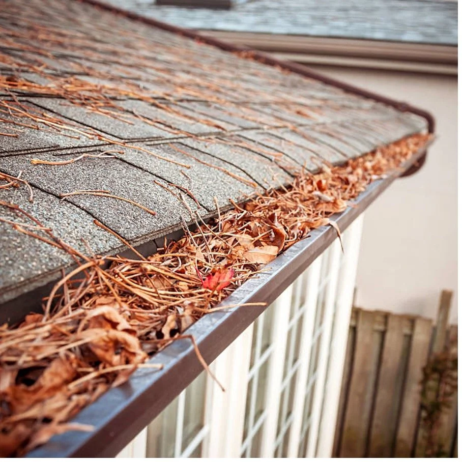 clogged gutters