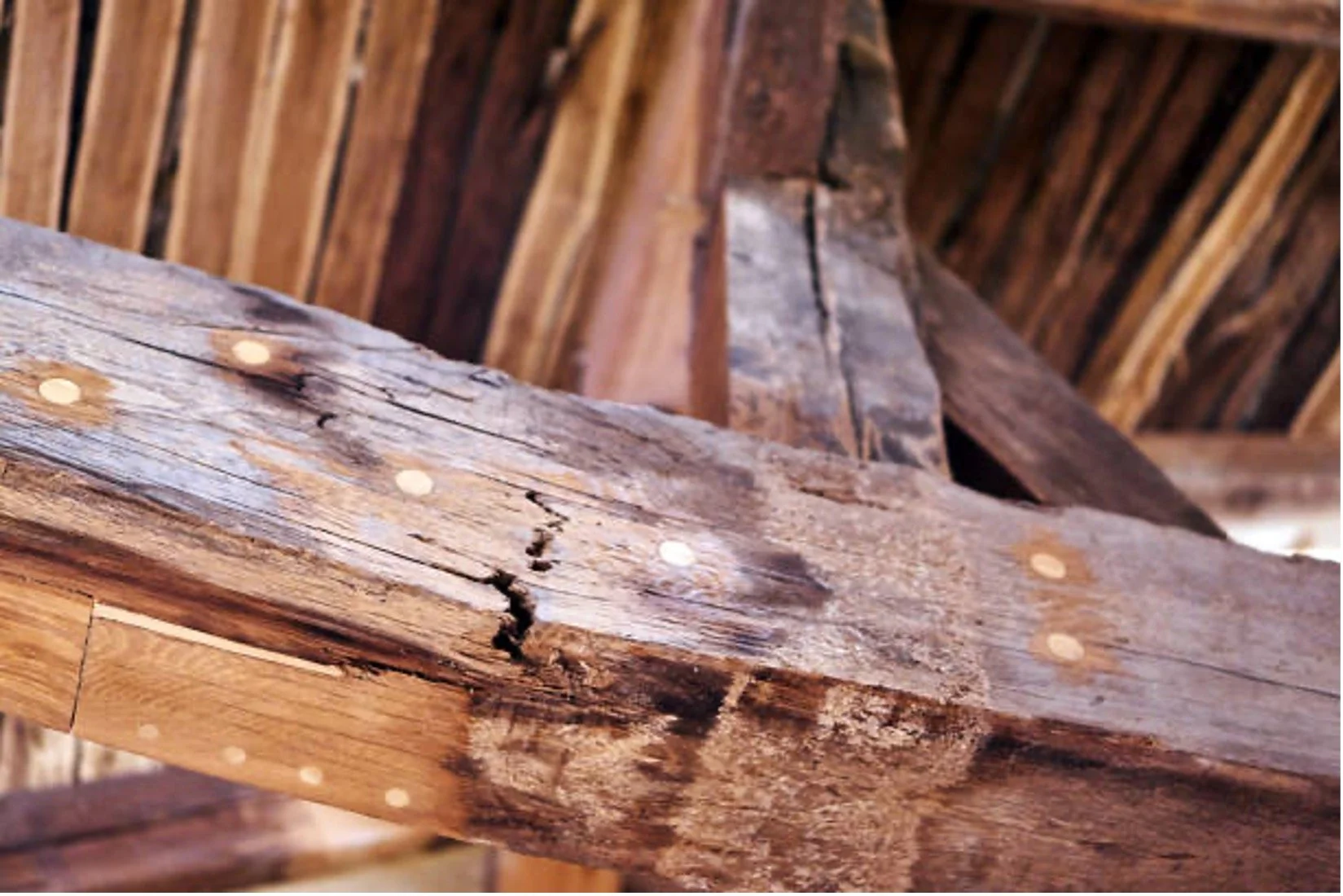 damaged framing on house