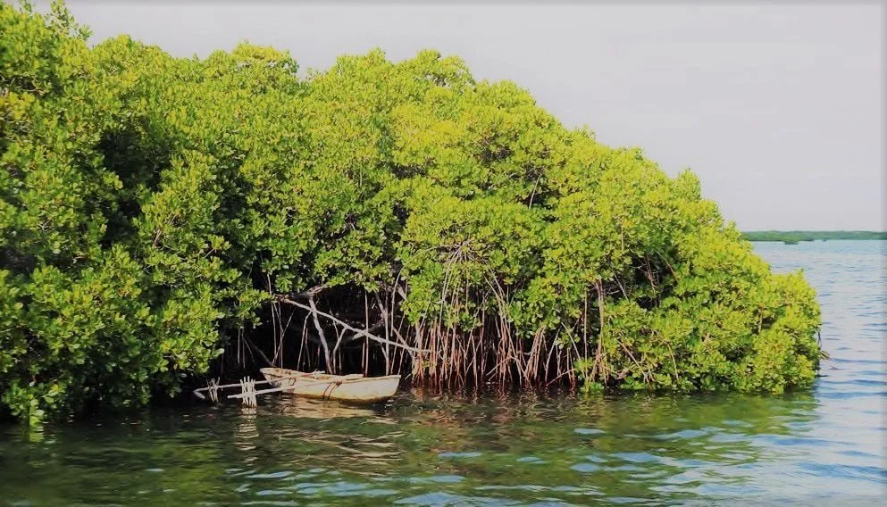 Vanuatu