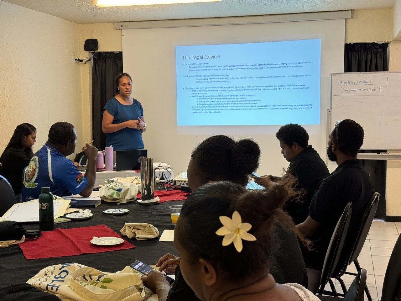 Inaugural Vanuatu Steering Committee Meeting Sets Stage for Collaborative Action