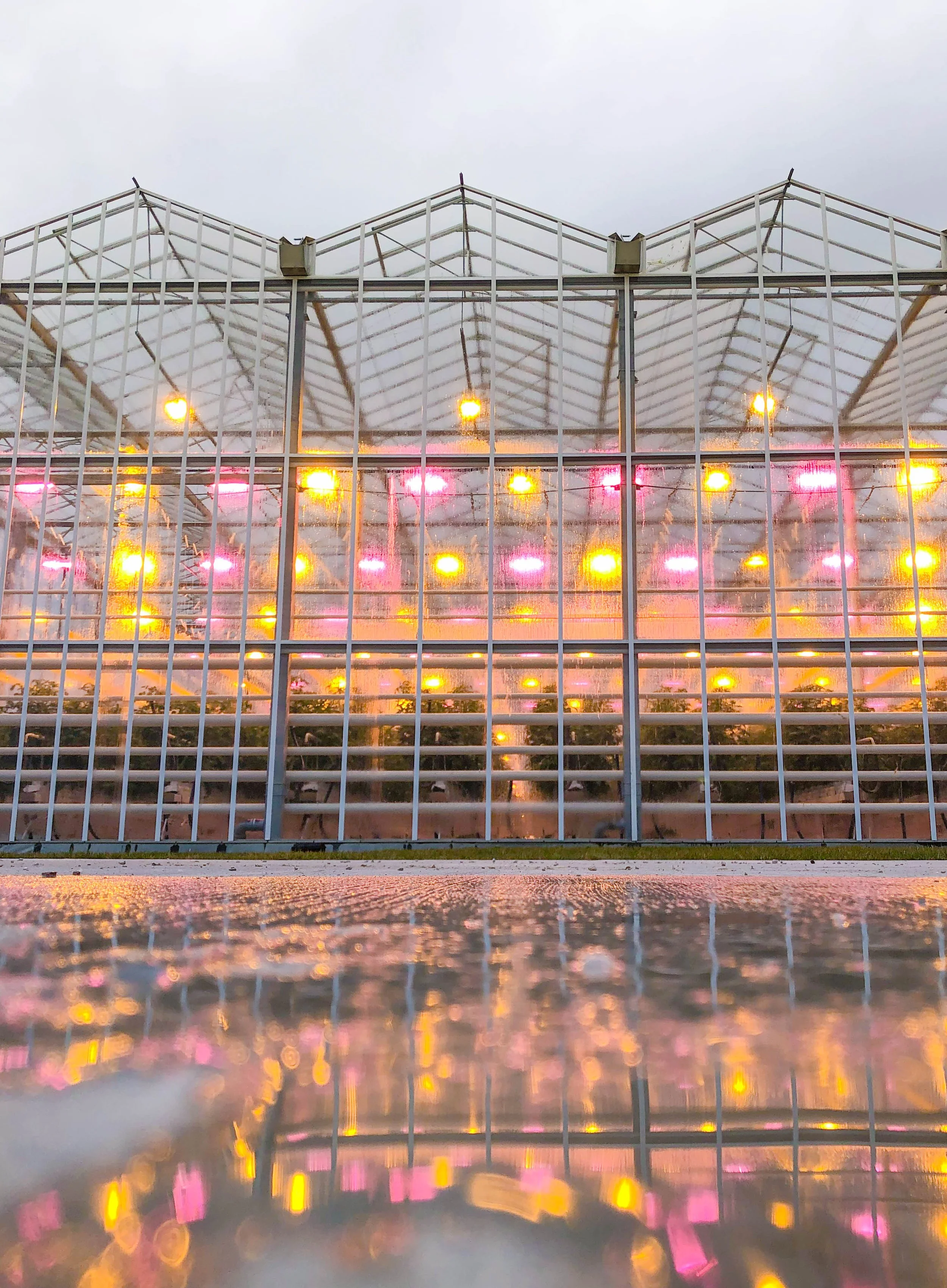 12.17.2020Morehead (1 of 67).JPEG