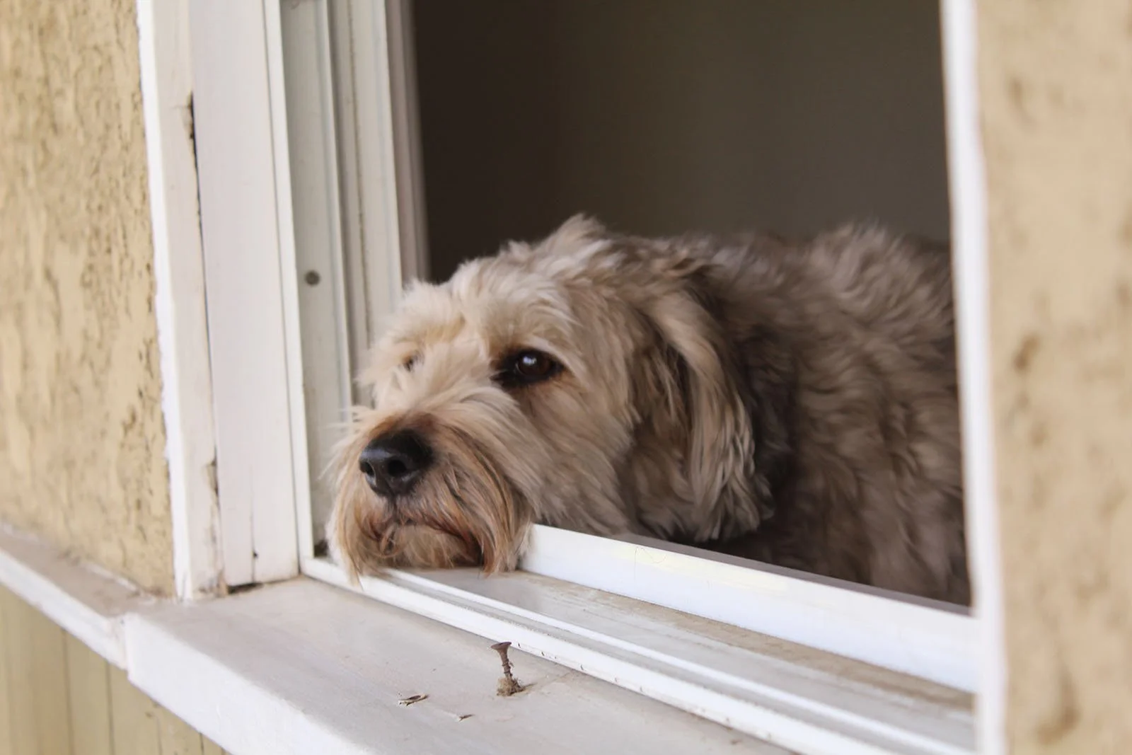 Saca- Leading Lines 2s.jpg