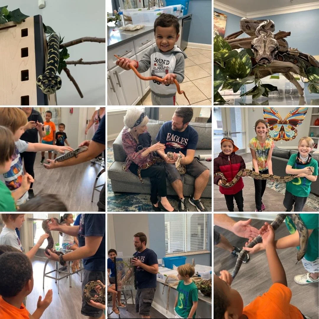 website highlight 7.jpg