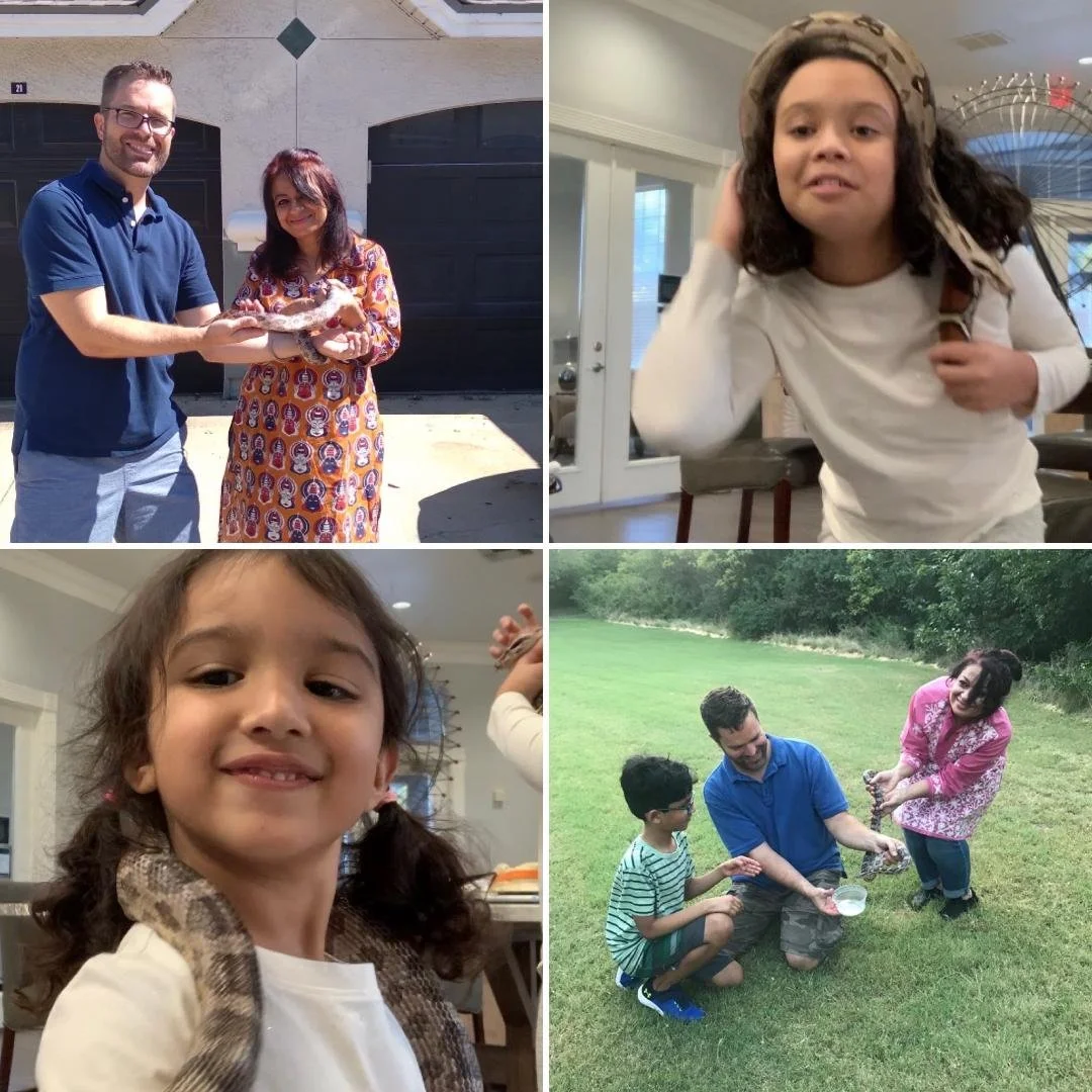 website highlight 6.jpg