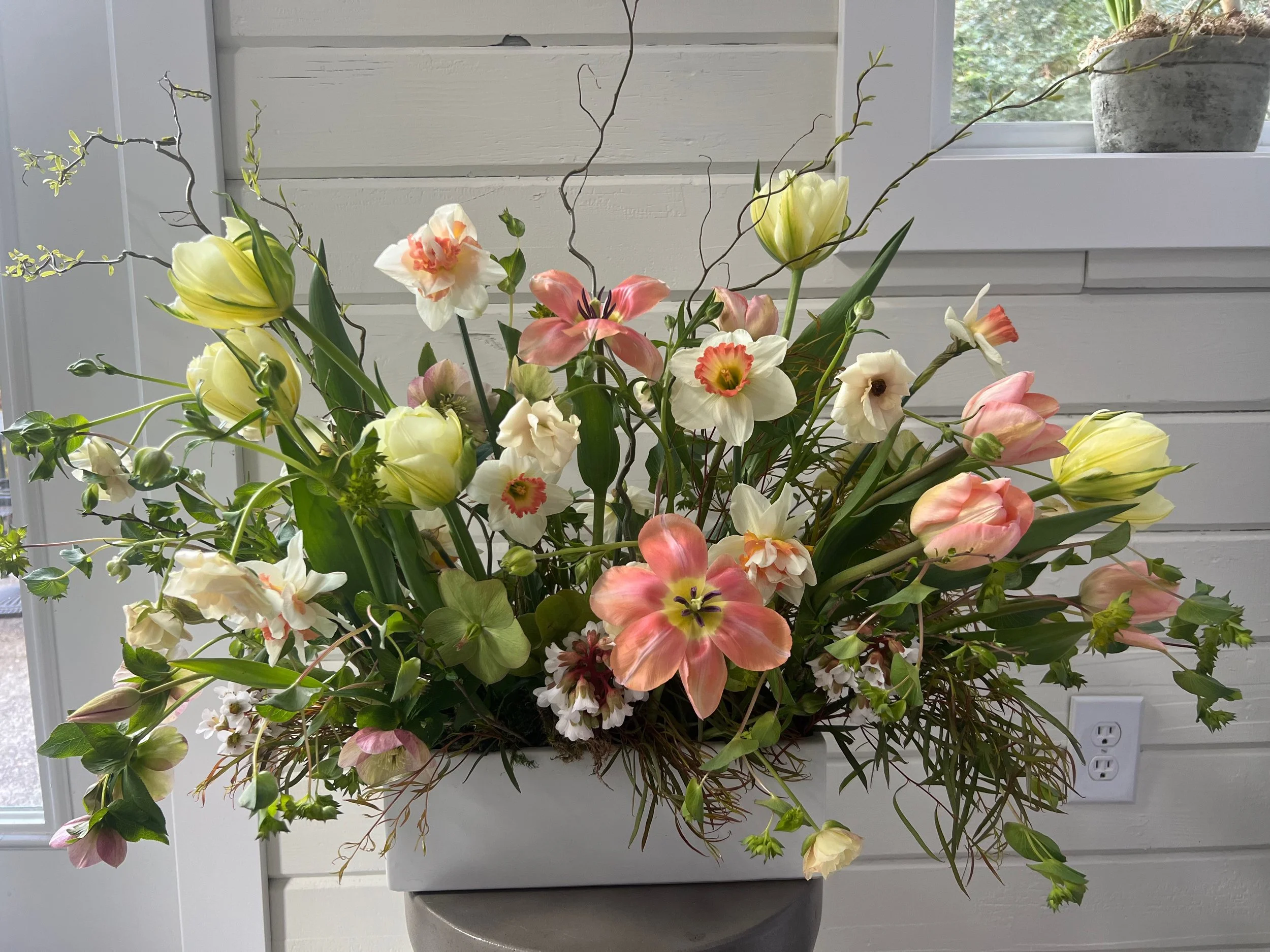 Spring Meadow Box Workshop | Saturday, March 16th  |  10:30 AM to 12:30 PM