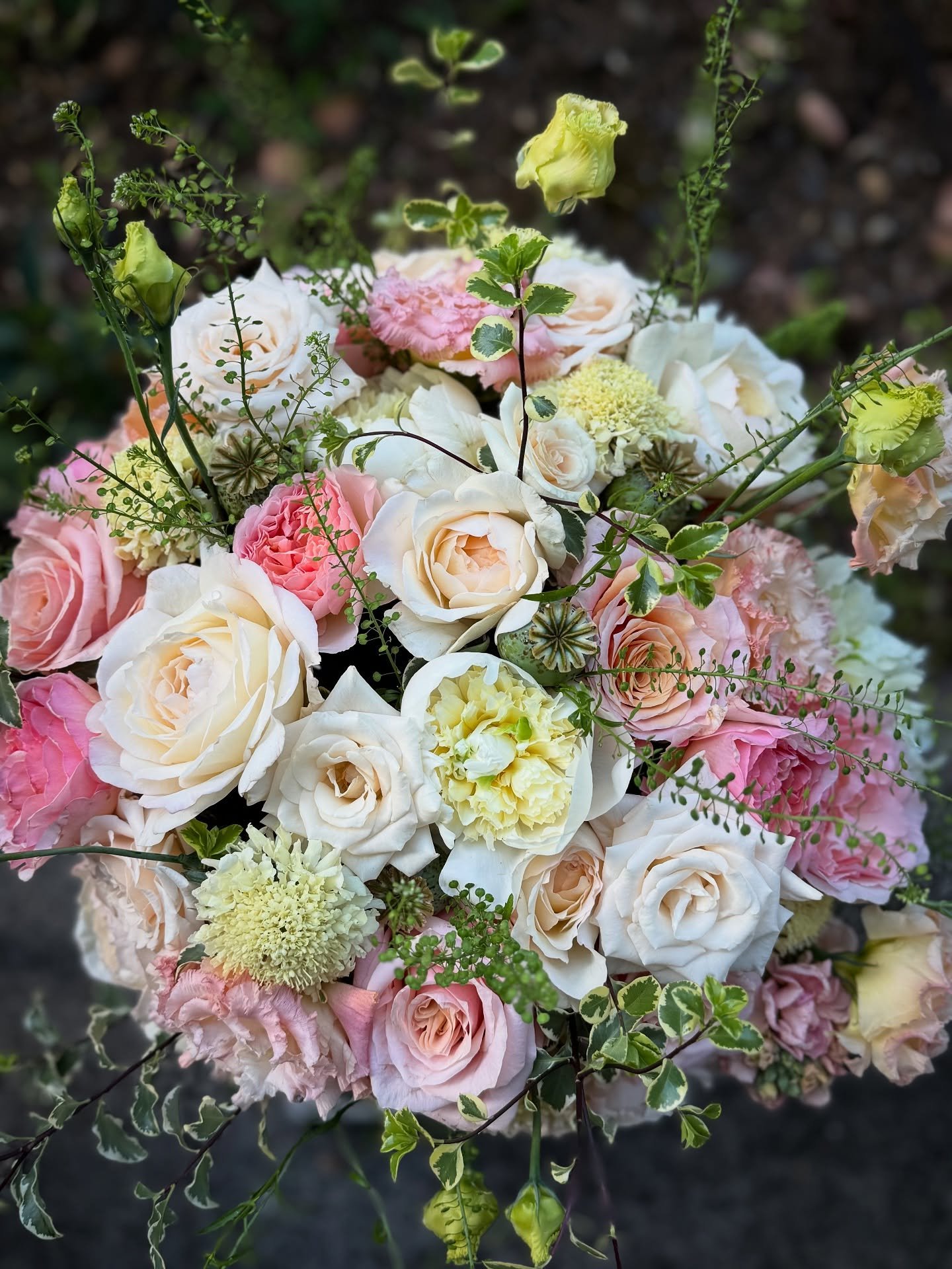 Some things are just timeless. Like Frank Sinatra. 😊 Roses are pure classic beauty &mdash; wish you could experience their scent! Happy Anniversary to K + J! 🤍