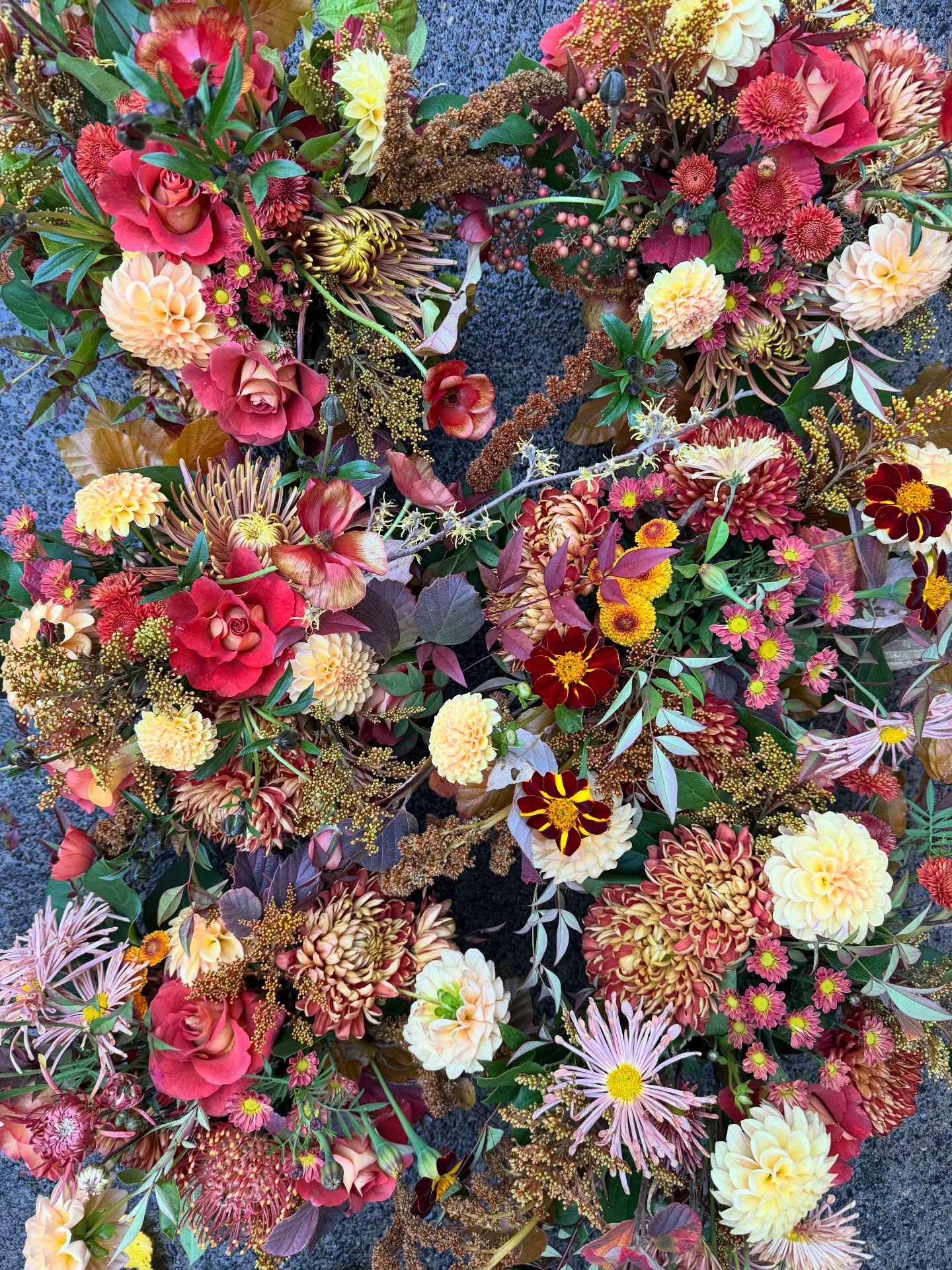 November has been a blur, in a good way. Little photo dump before we launch into Thanksgiving week and then Xmas mode! 

Happy weekend!