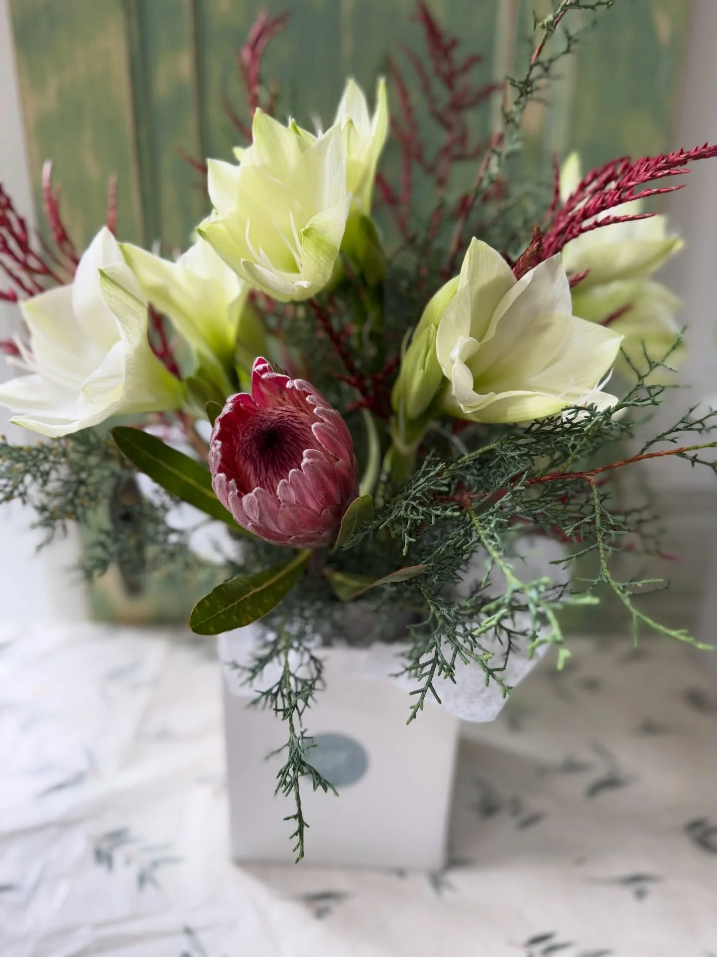 Welcome December! ✨ 

Our winter floral subscription starts December 10th and will feature these gorgeous white amaryllis. Link in bio. 🤍

Fun fact: cut amaryllis have a looong vase life!