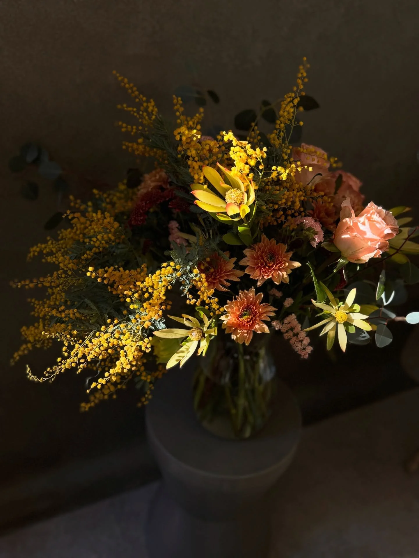 ✨ January ✨

Listening to podcasts in my sun-filled studio today while making arrangements. I&rsquo;m about to head out for a little winter gardening before the sun goes down! 

Do you have any new favorite podcasts? Mine is @rebloom.podcast. It&rsqu