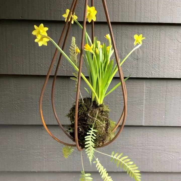 Happy March! 🌼

It&rsquo;s been a surprisingly mild winter, but seeing those first daffodil greens poking through is the ultimate sign that spring is on its way!

Just a few favorite photos of daffs I have planted or arranged over the years. They al