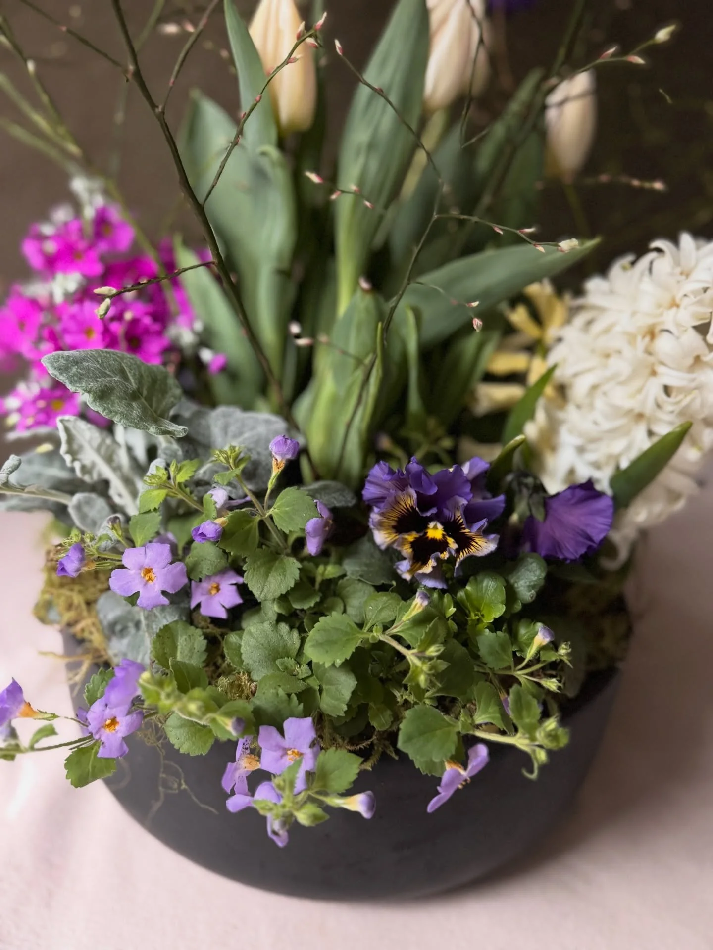 Big thanks to @portlandgardenclub for inviting me to present on container gardening! 🌿
 
I started FloraWood as a container design business, and while I&rsquo;ve transitioned away from professional installs, I still love sharing everything I&rsquo;v
