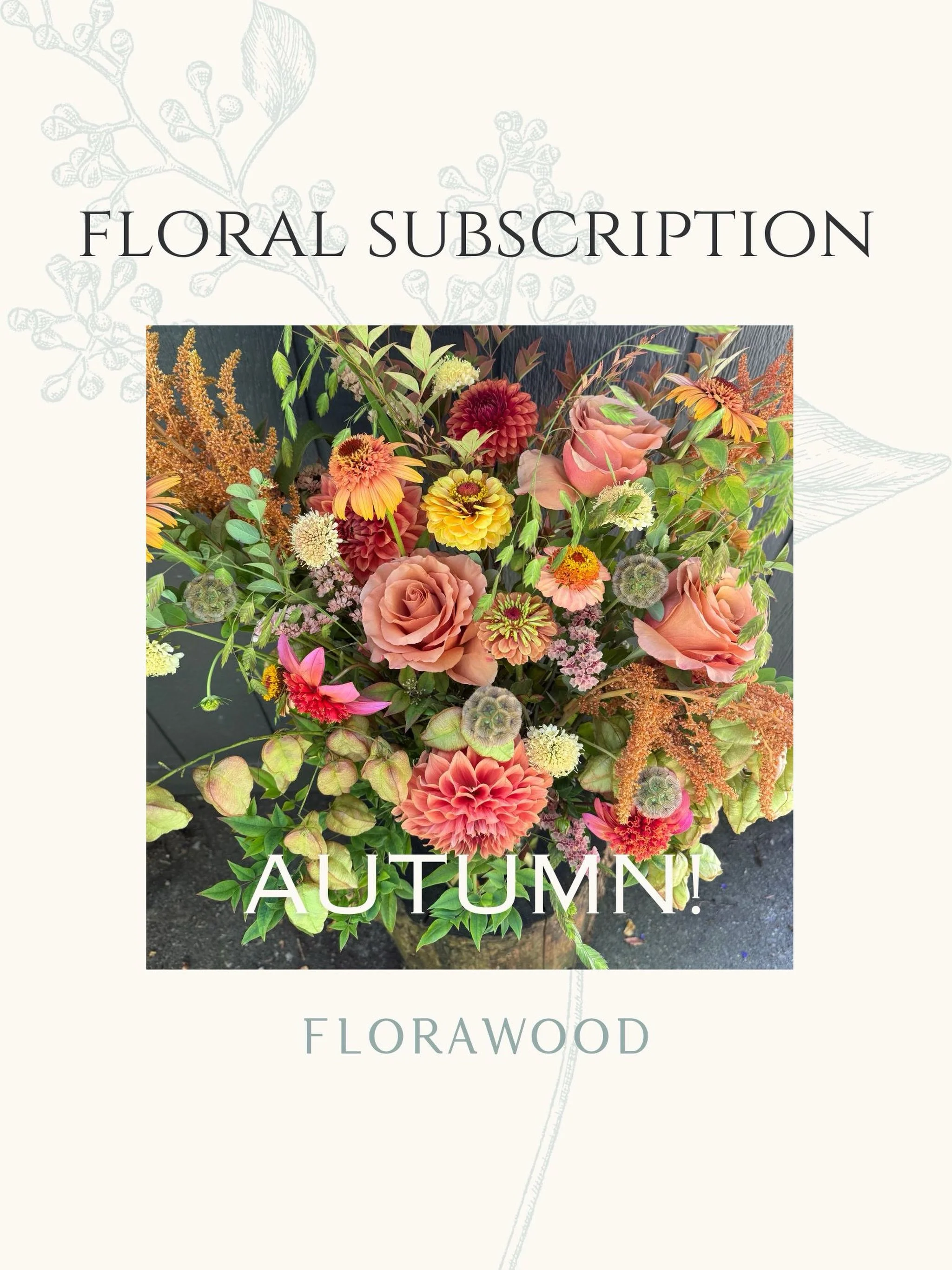 Last call for our Autumn Floral Subscription! Sign-ups close Sunday 8/30 at Midnight!

All the deets on our website, link in our bio! 🍂