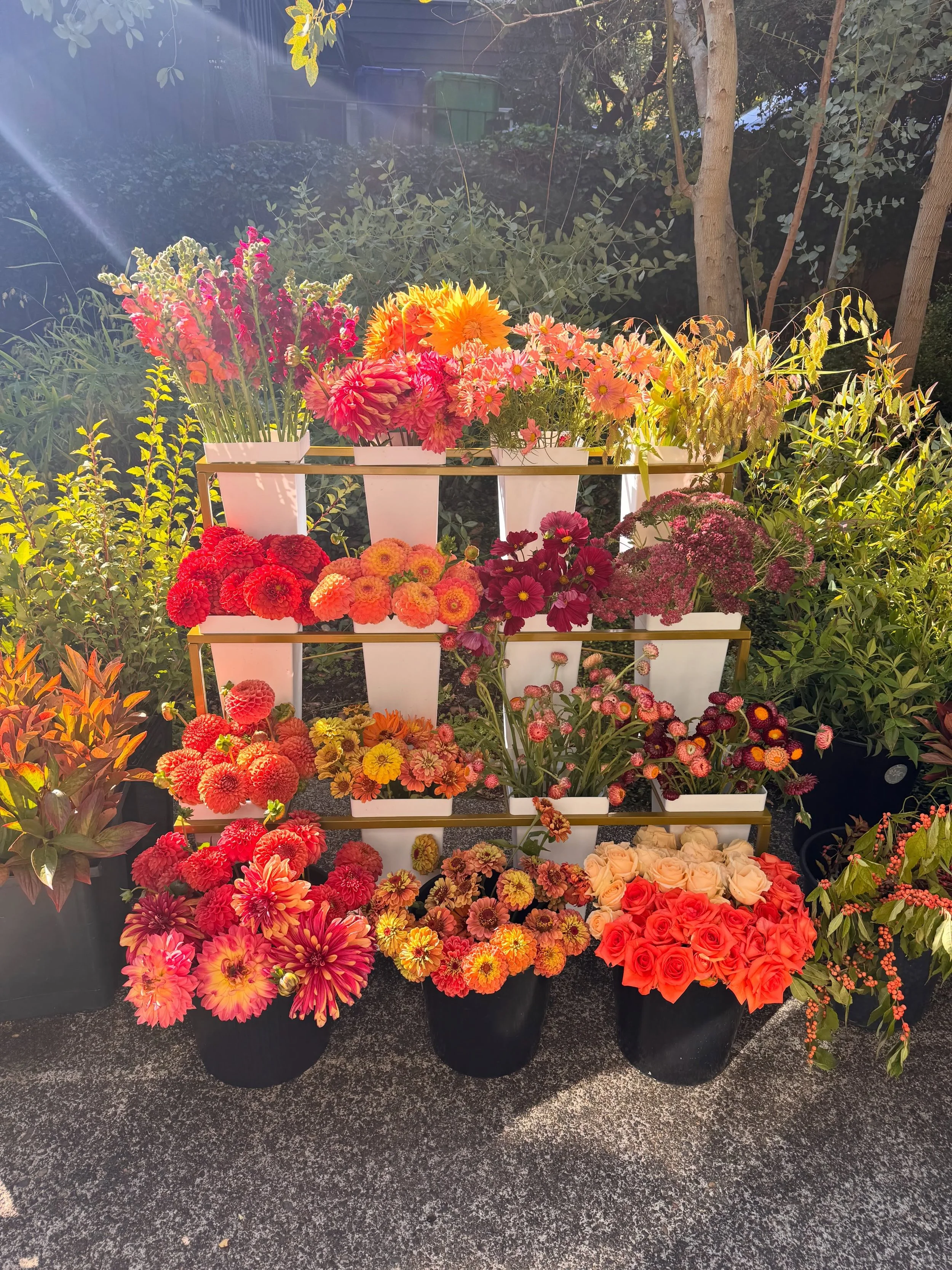 What a perfect way to celebrate the shift in seasons this morning&mdash;creating autumn arrangements with these lovelies! I love sharing my passion for flowers, but I enjoy watching others create even more. 

Almost all of our blooms were grown local
