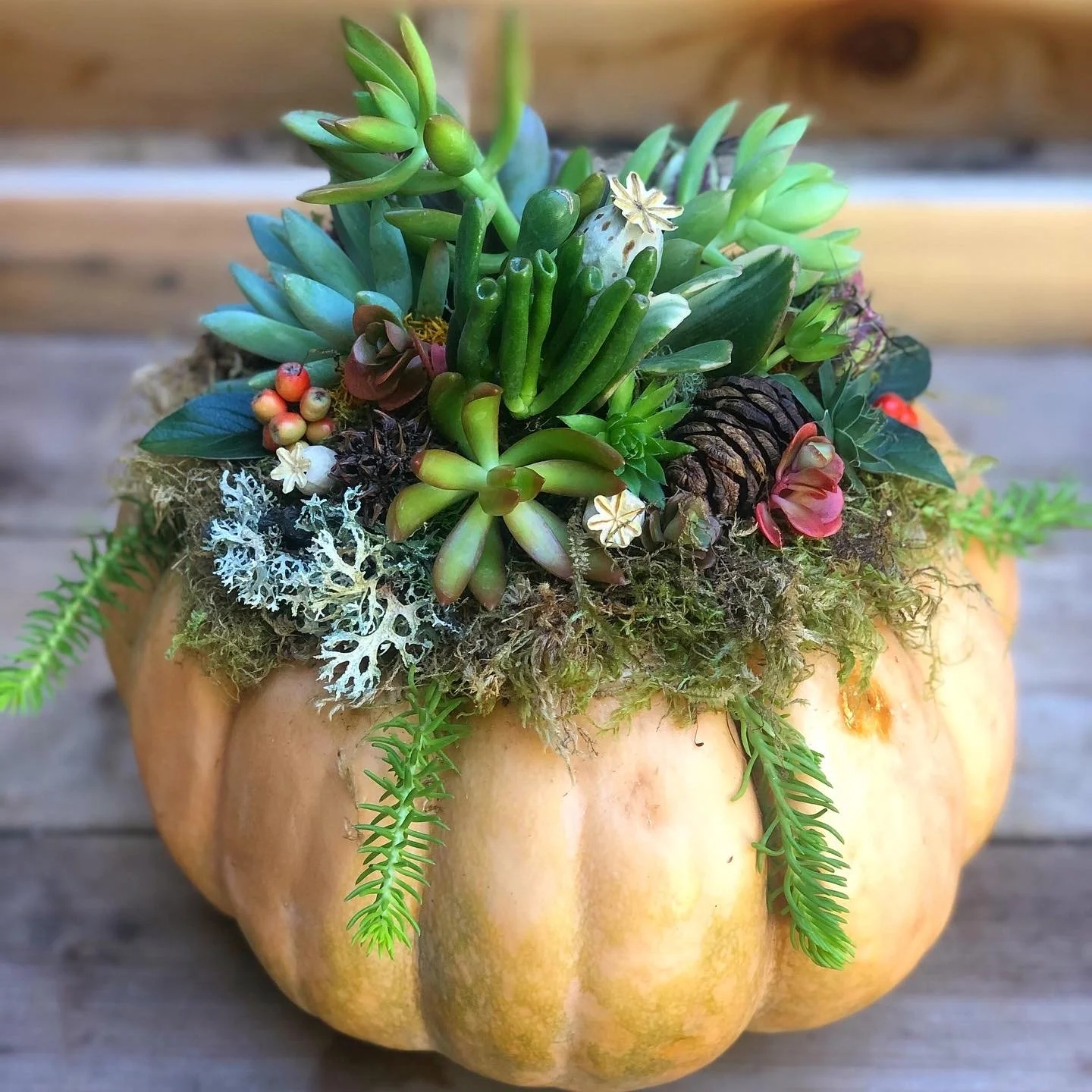 Copy of E1E0B68F-4A92-4DF8-BB03-83919C1A21B1.jpeg