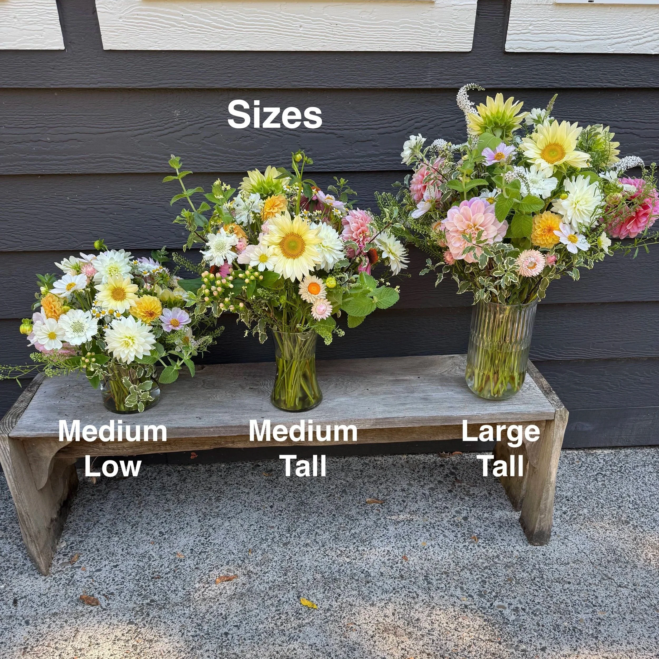 3+sizes+summer.jpg