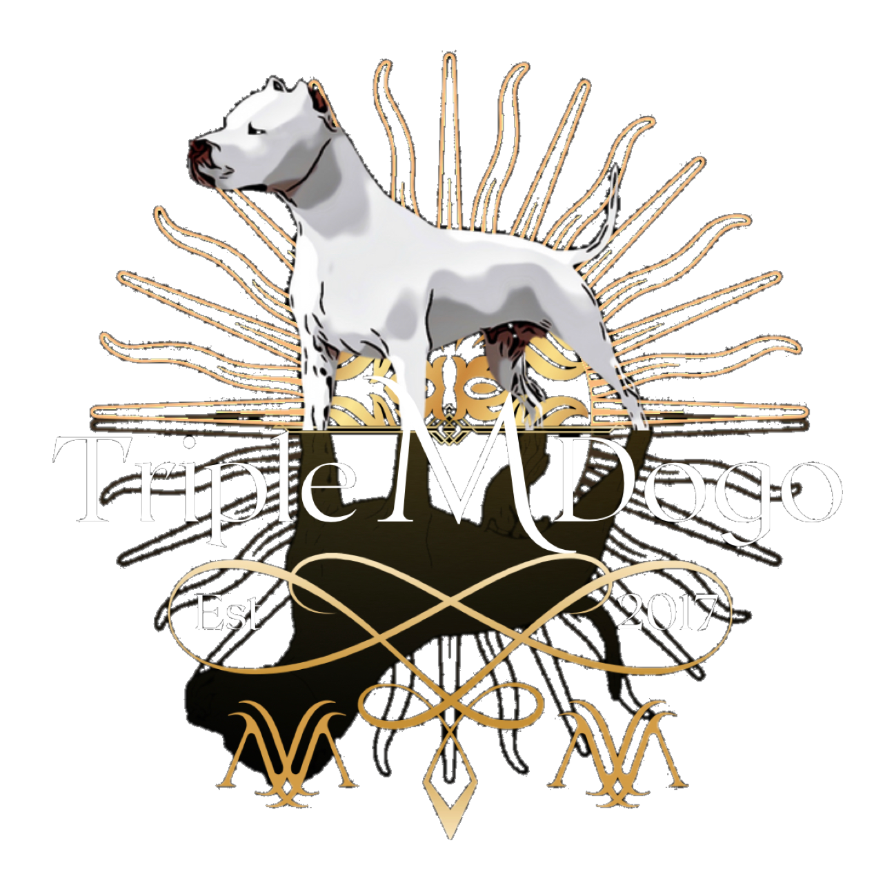Triple M Dogo